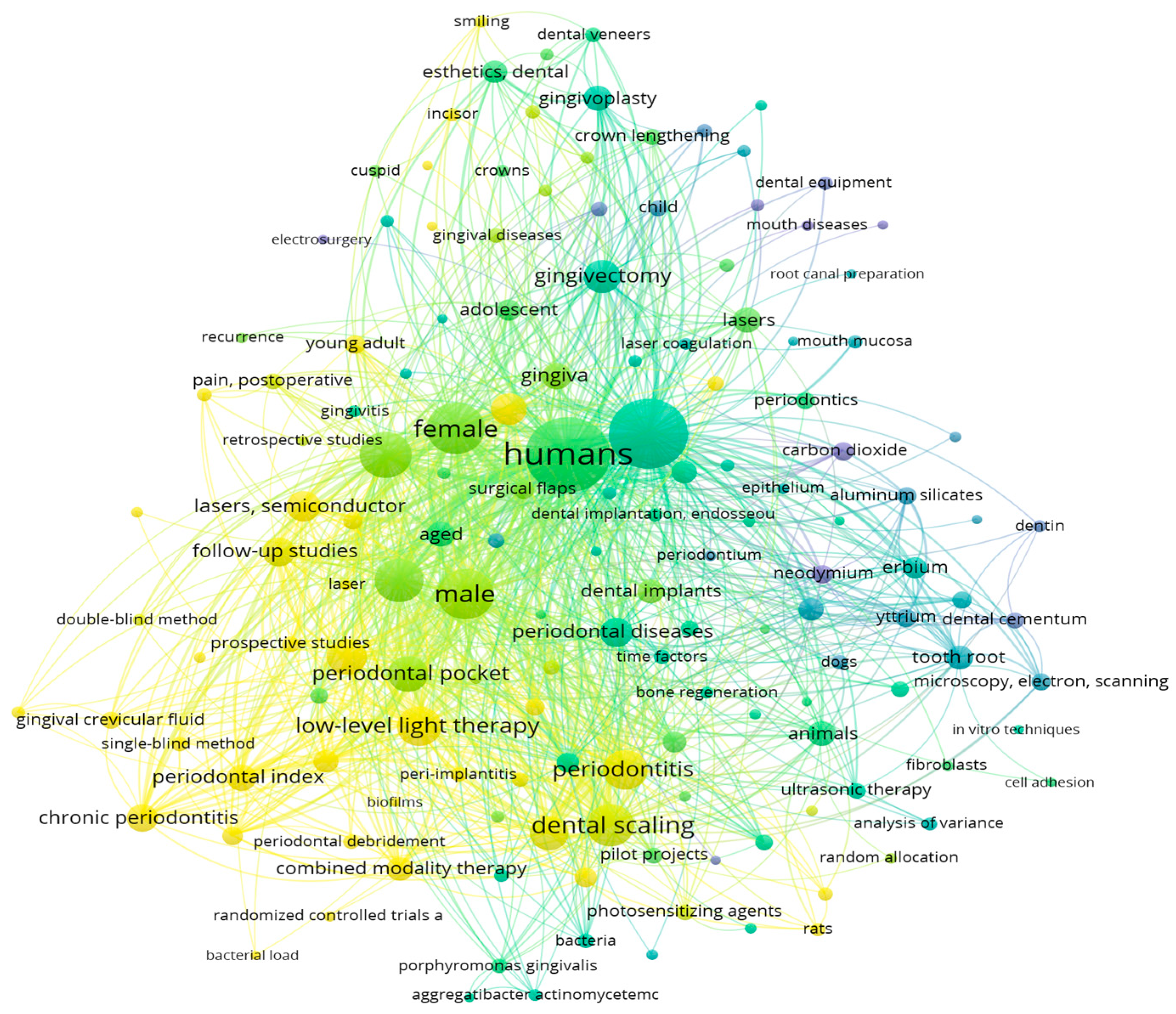 Medicina 60 00437 g002