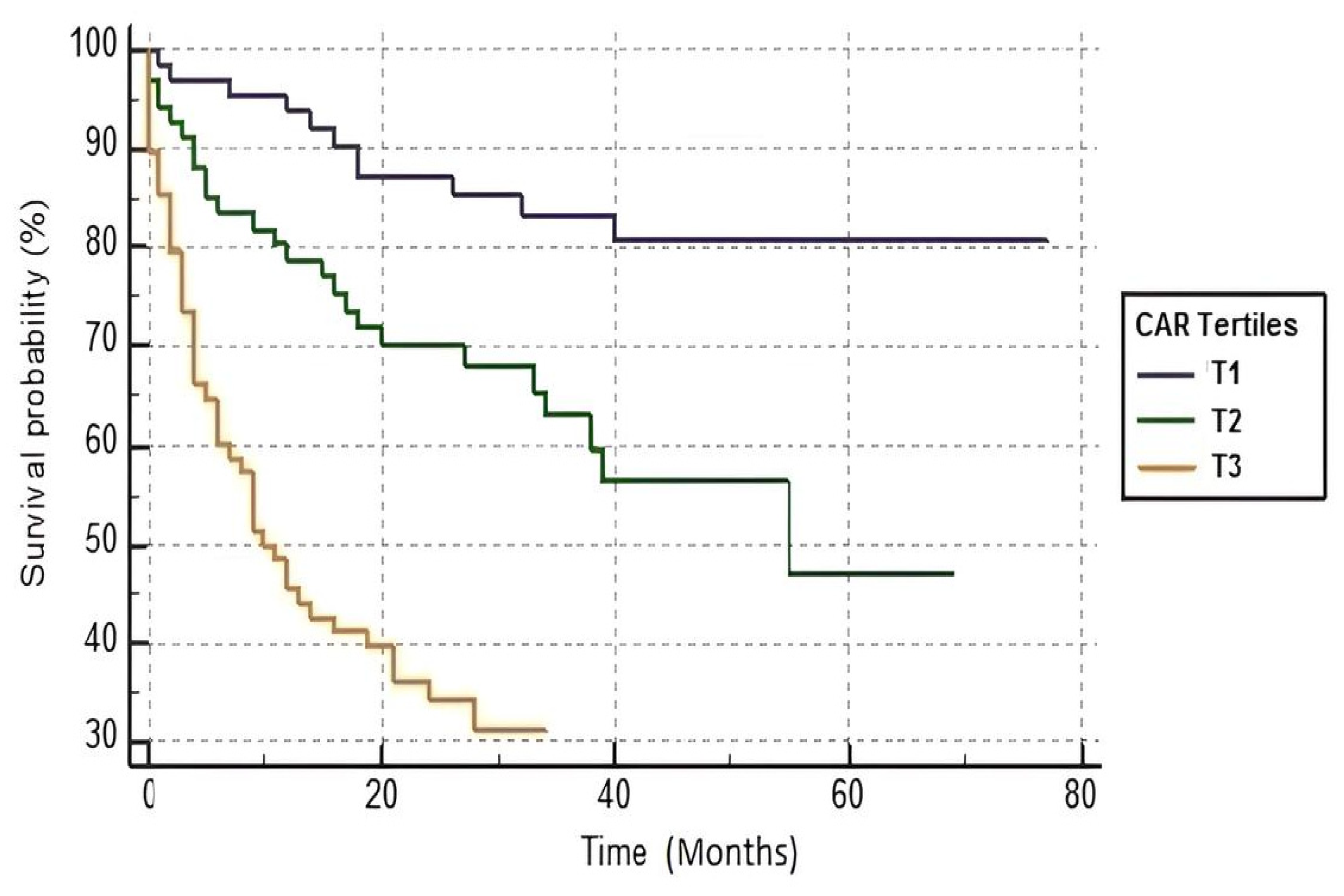 Medicina 60 00441 g002