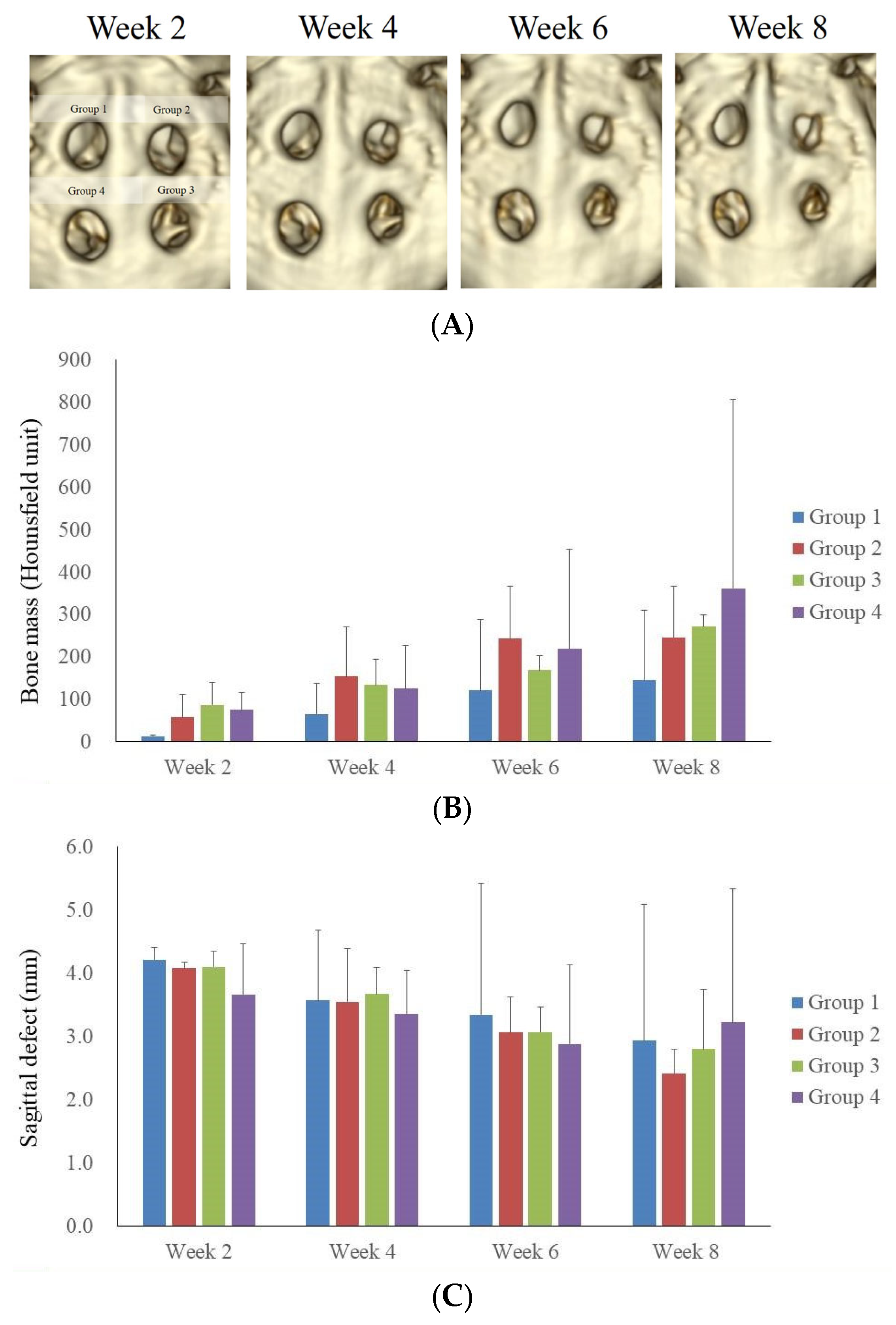 Medicina 60 00451 g002a