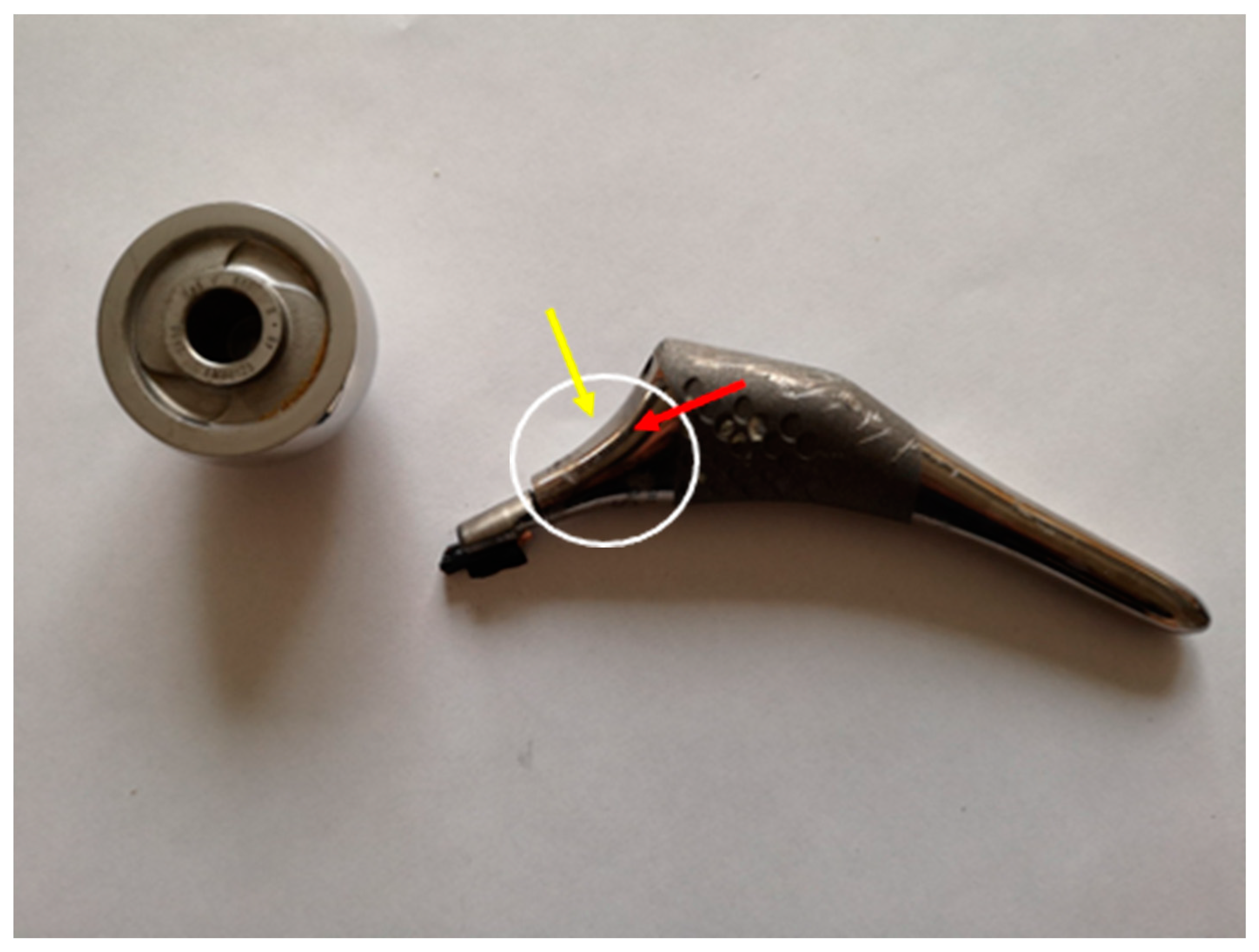 Medicina 60 00458 g002