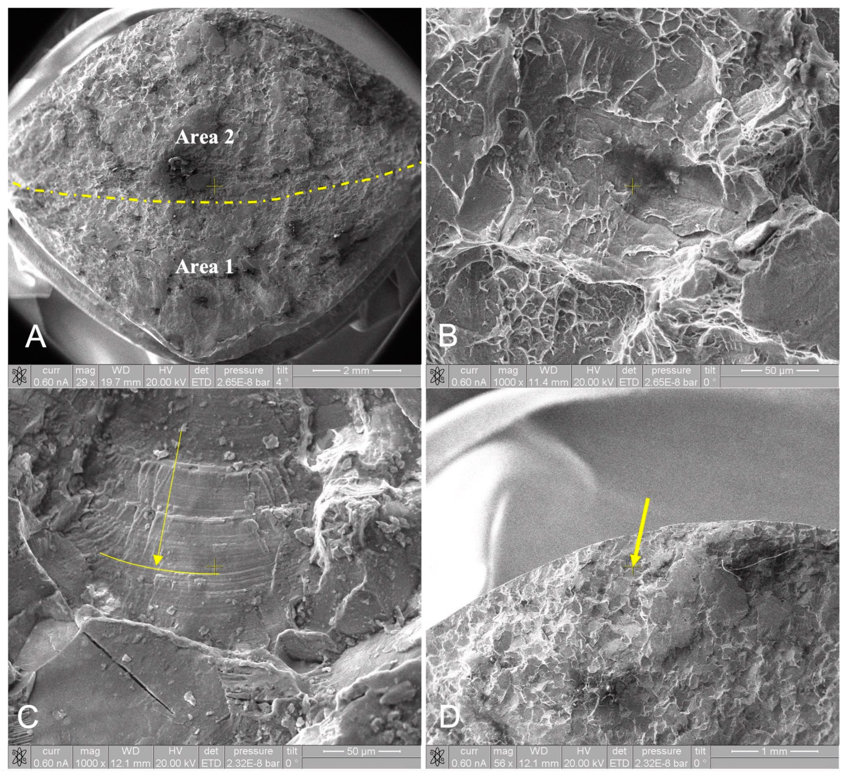 Medicina 60 00458 g004