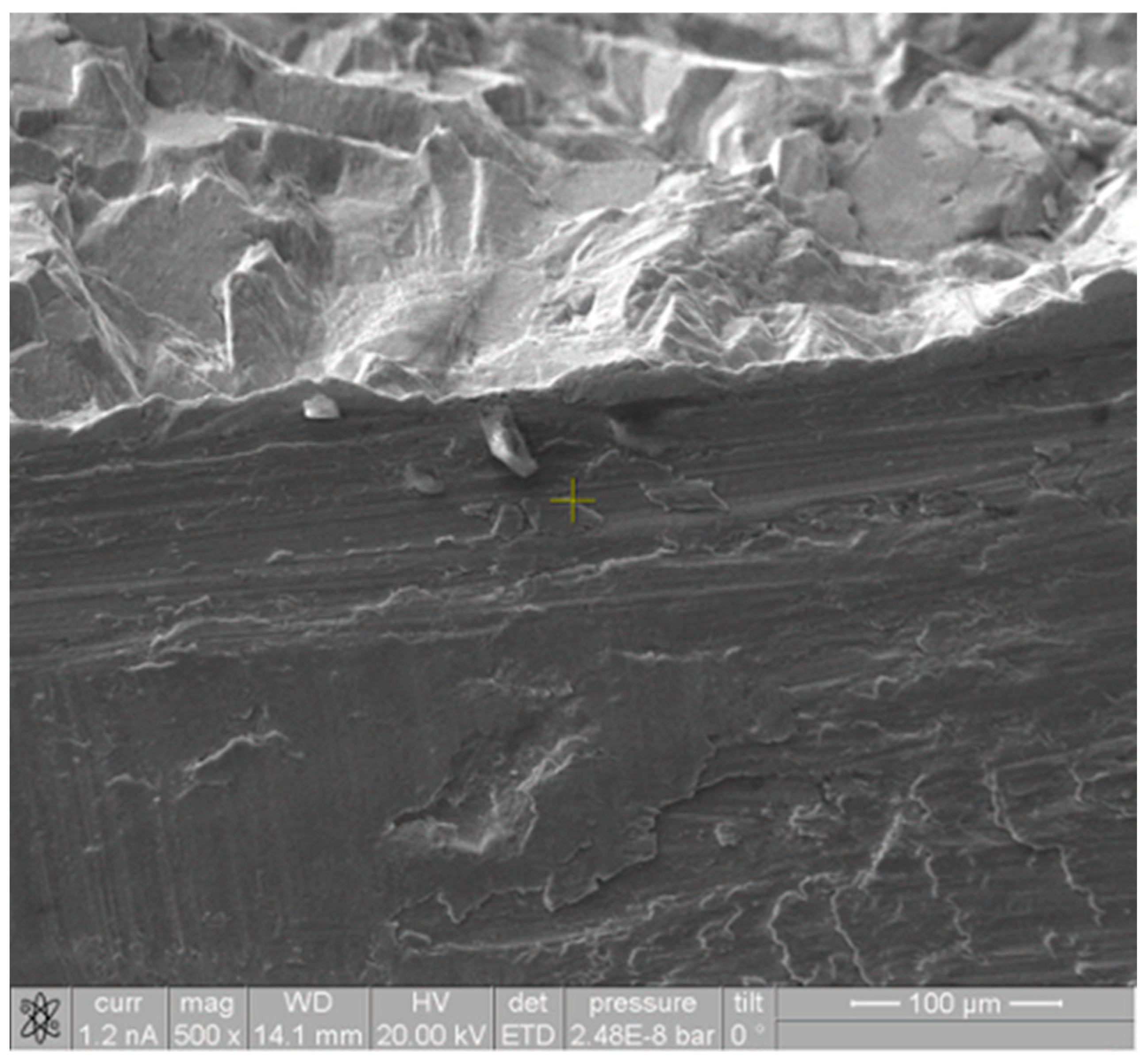 Medicina 60 00458 g005