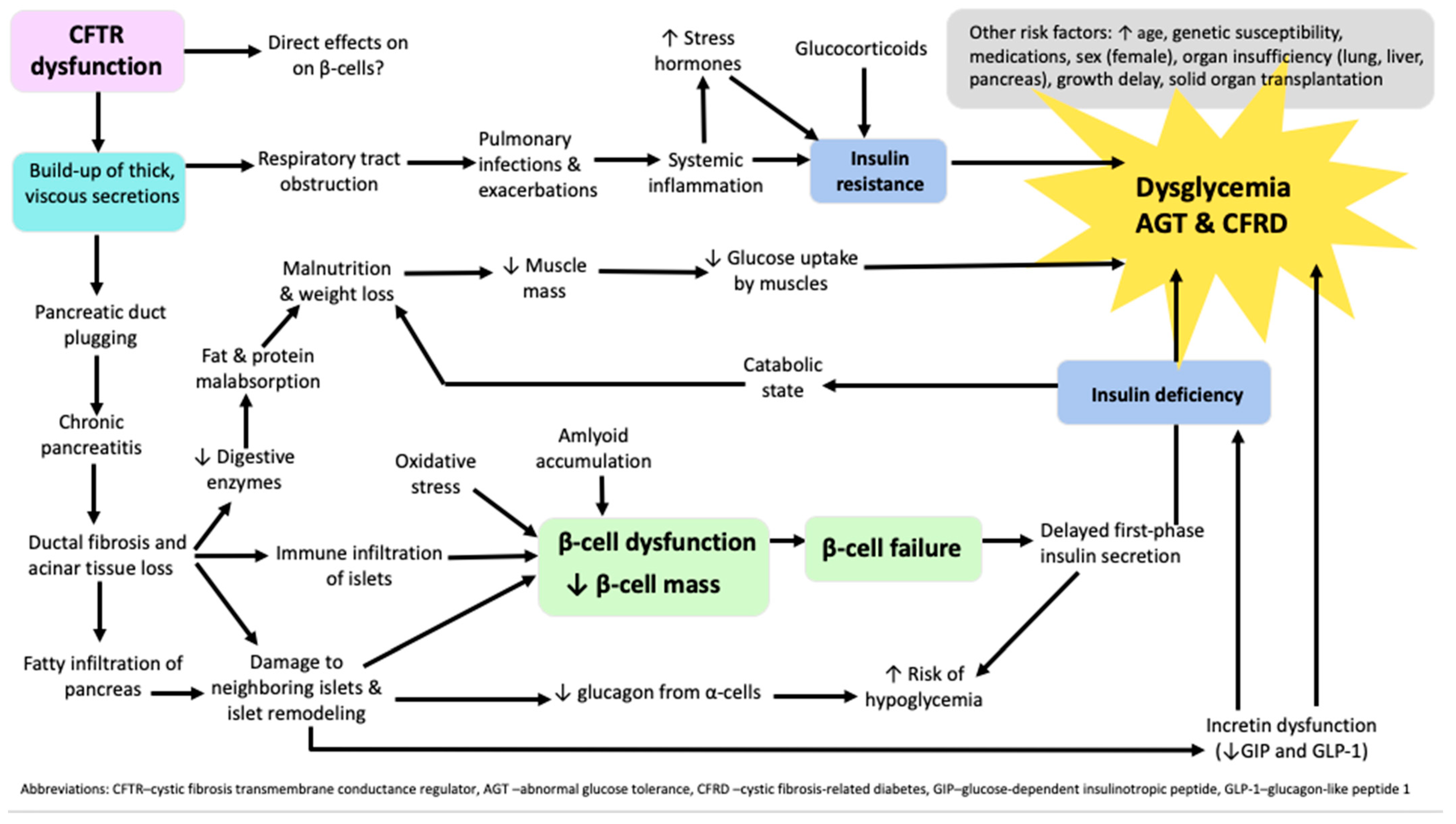 Medicina 60 00477 g001