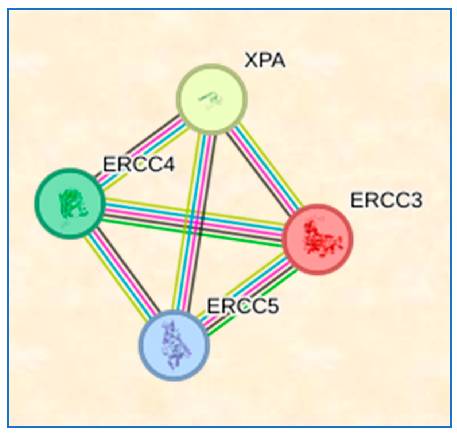 Medicina 60 00478 g002