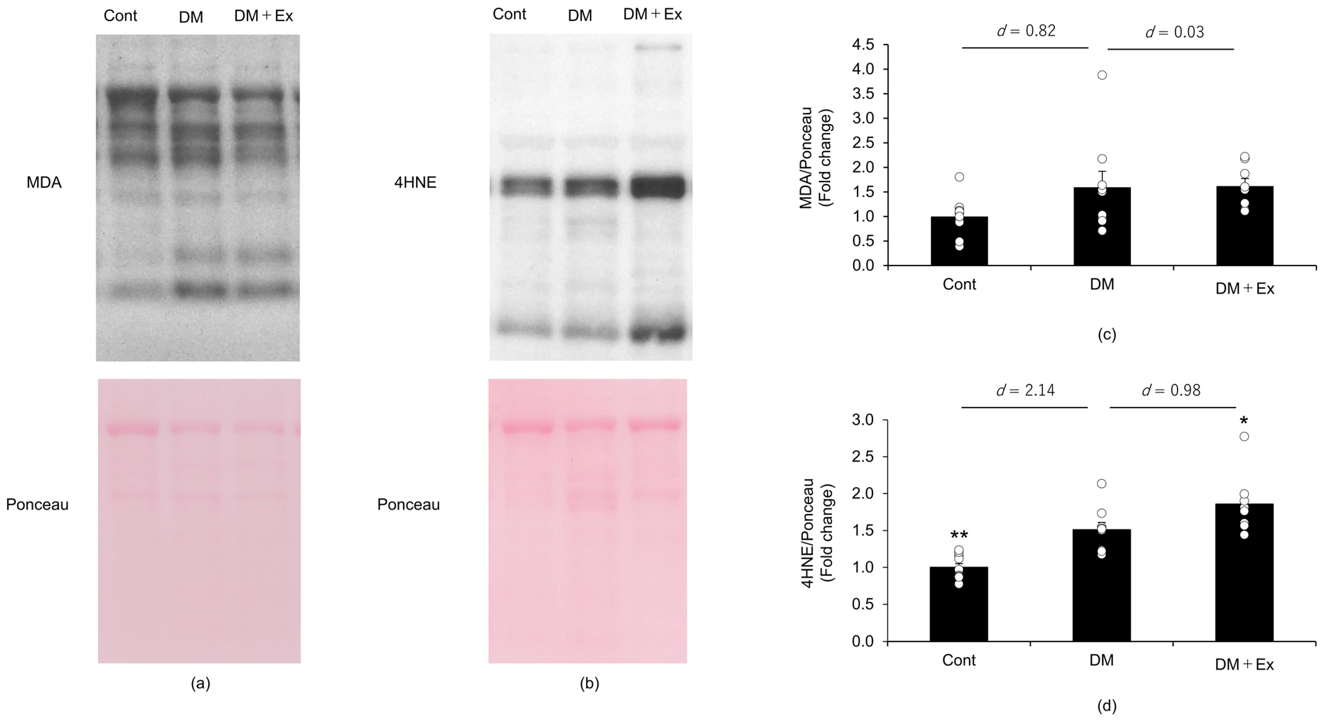 Medicina 60 00480 g003 Medicina 60 00480 g003