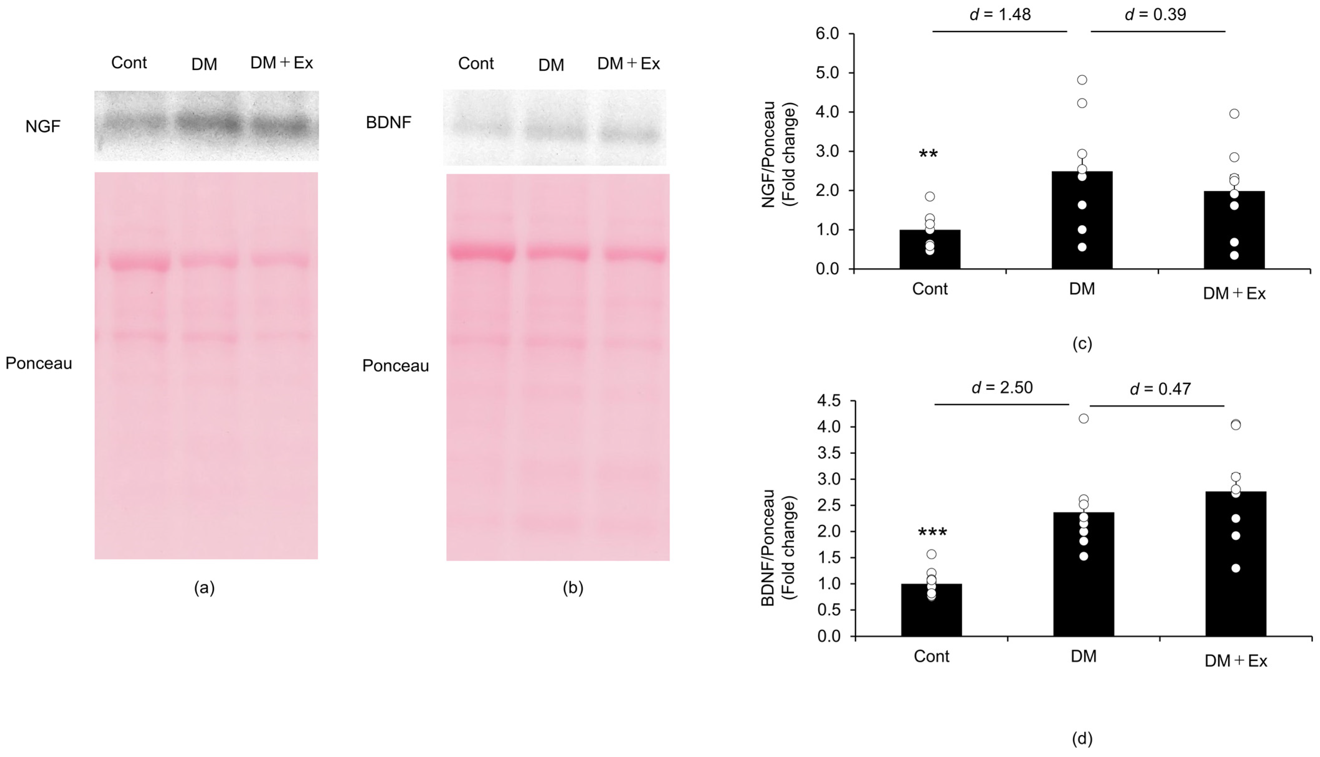 Medicina 60 00480 g004 Medicina 60 00480 g004