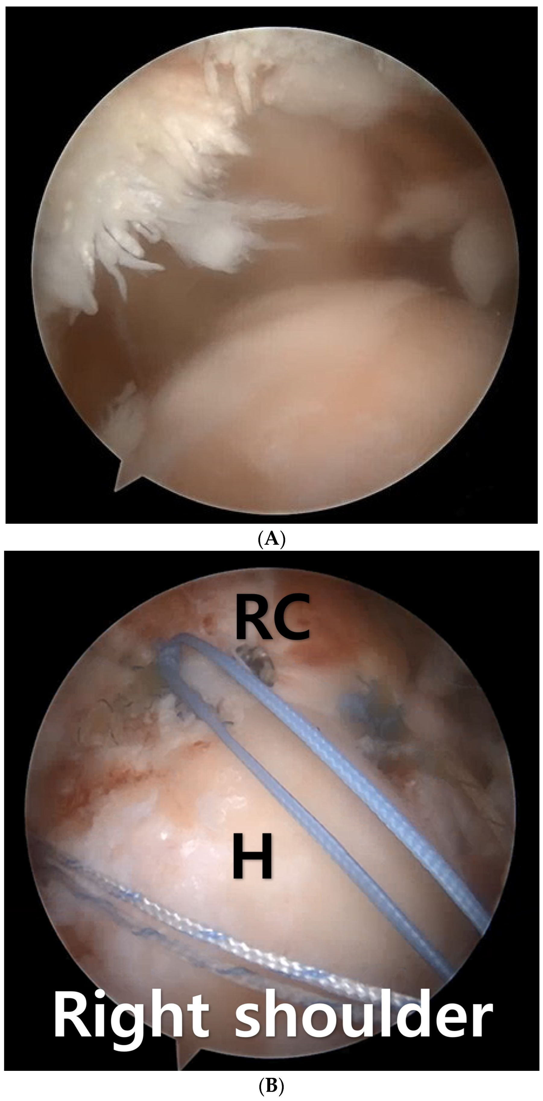 Medicina 60 00484 g001