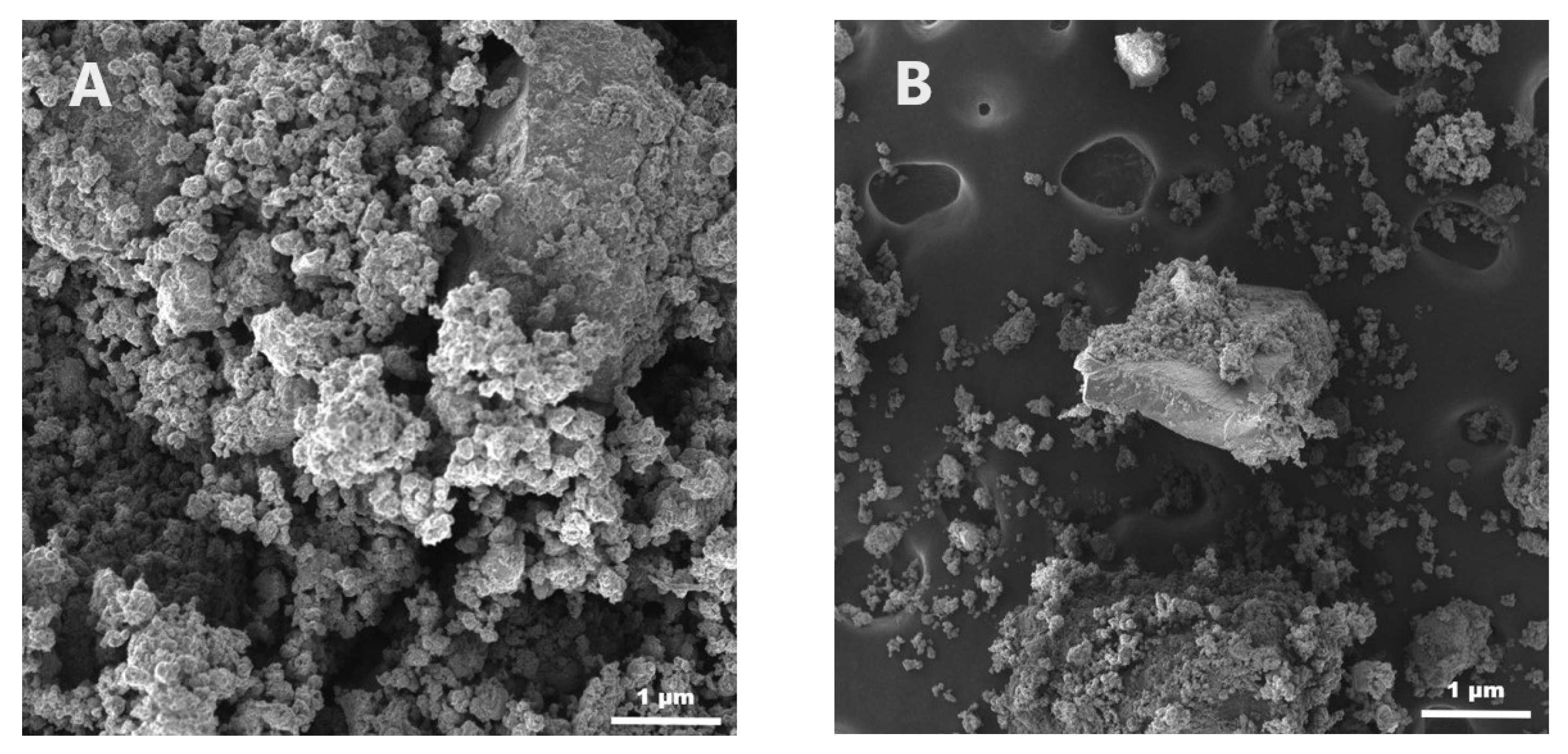 Medicina 60 00491 g005 Medicina 60 00491 g005