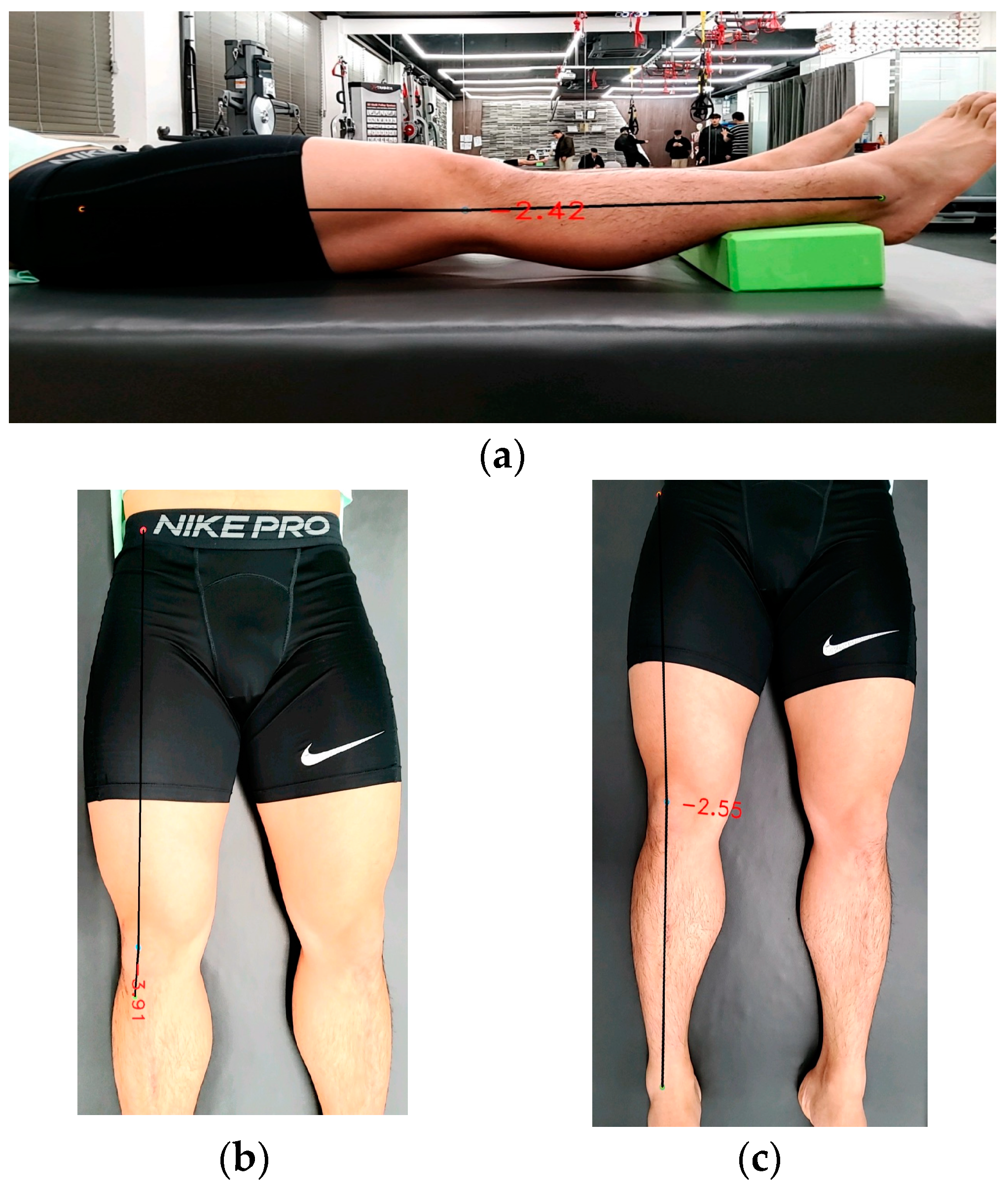 Medicina 60 00493 g002