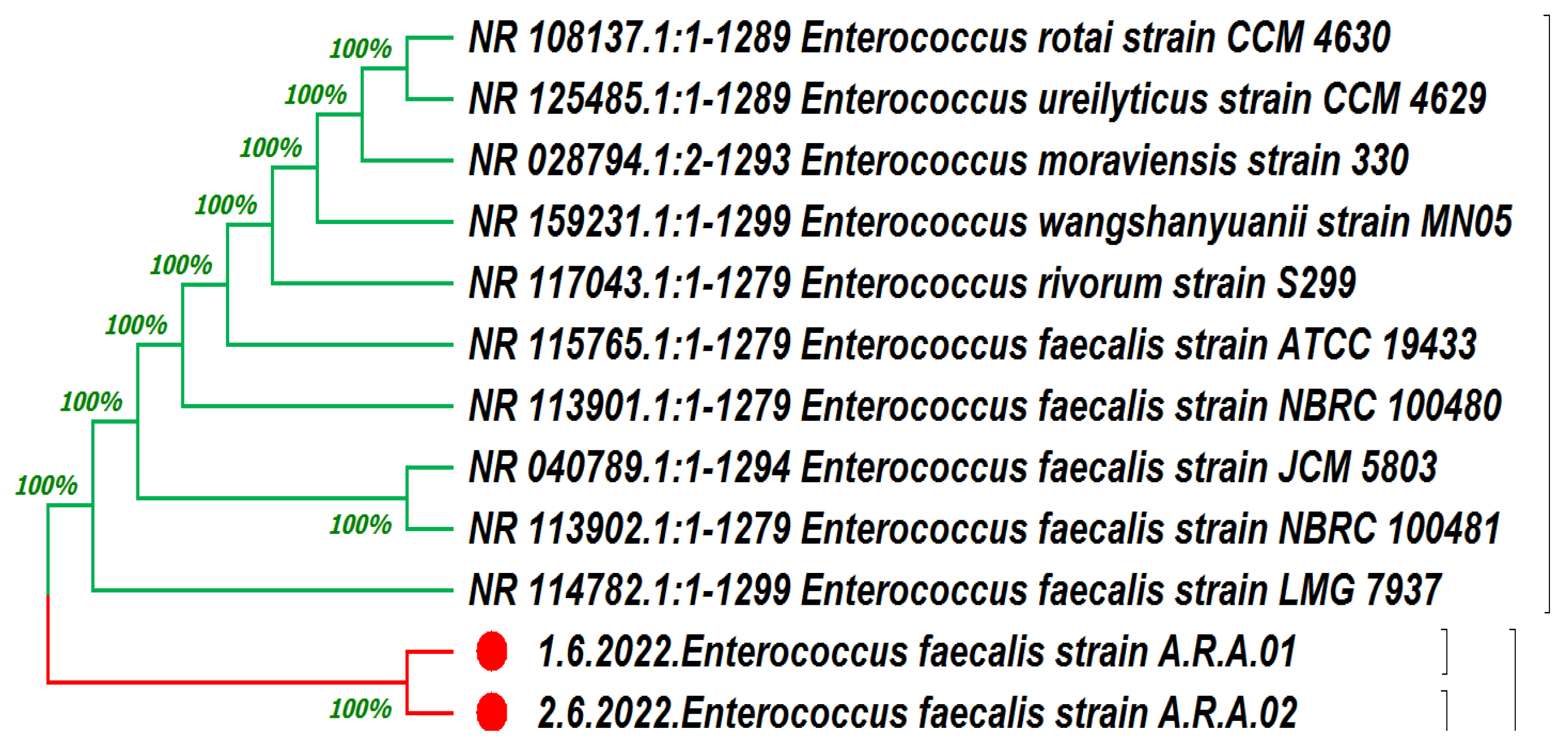 Medicina 60 00501 g002