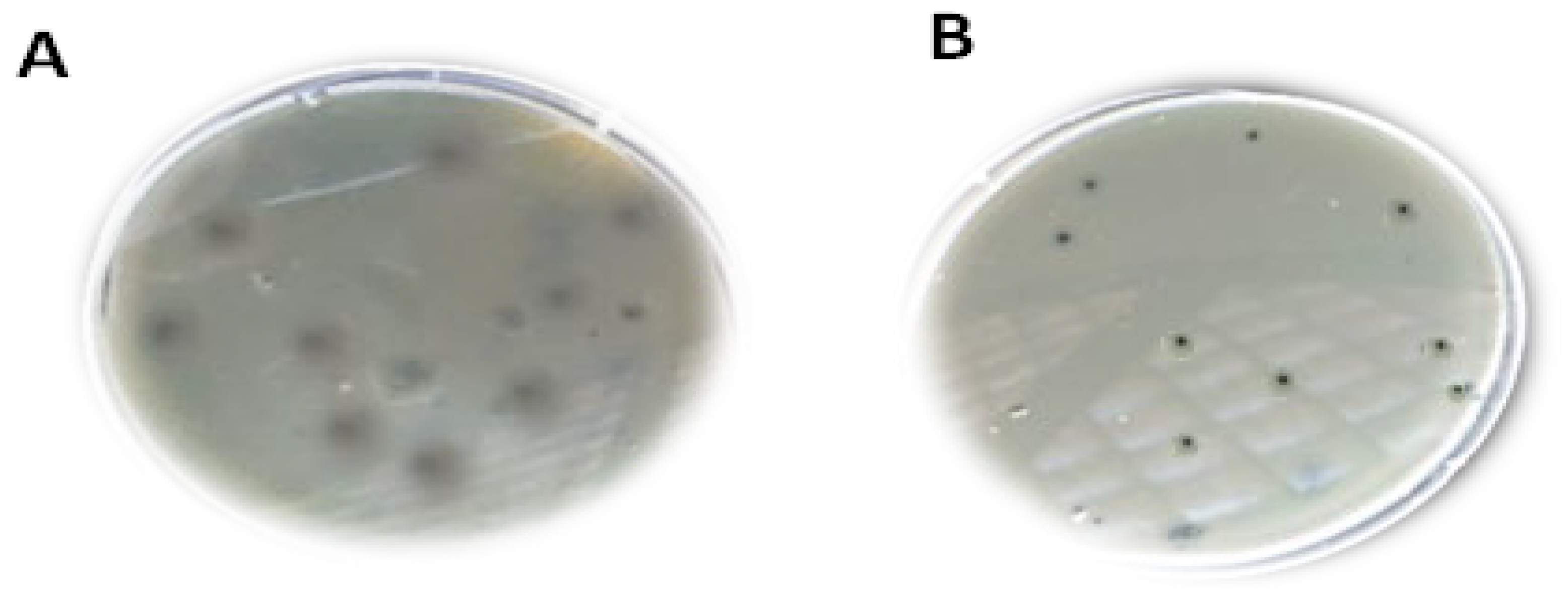 Medicina 60 00501 g003