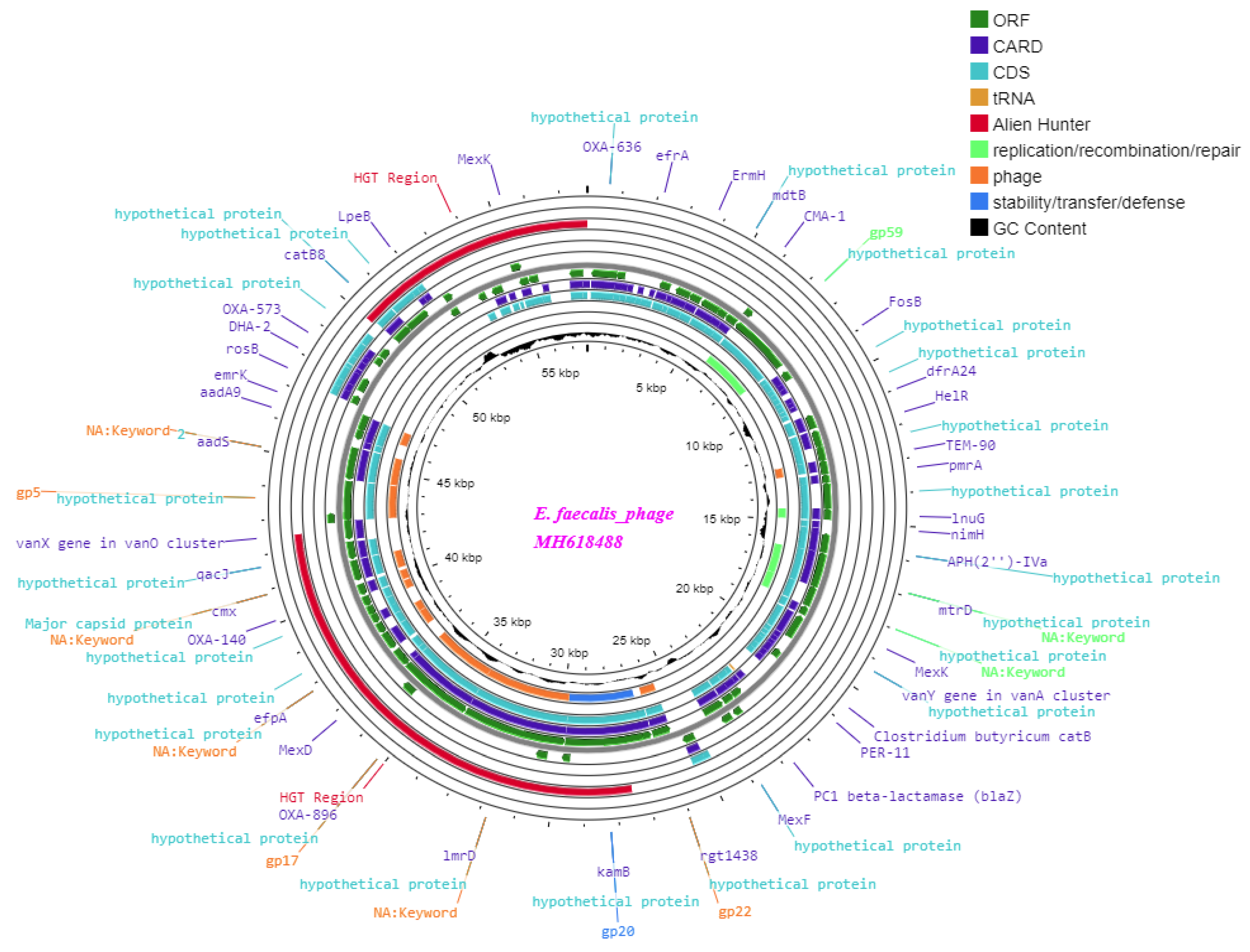 Medicina 60 00501 g006