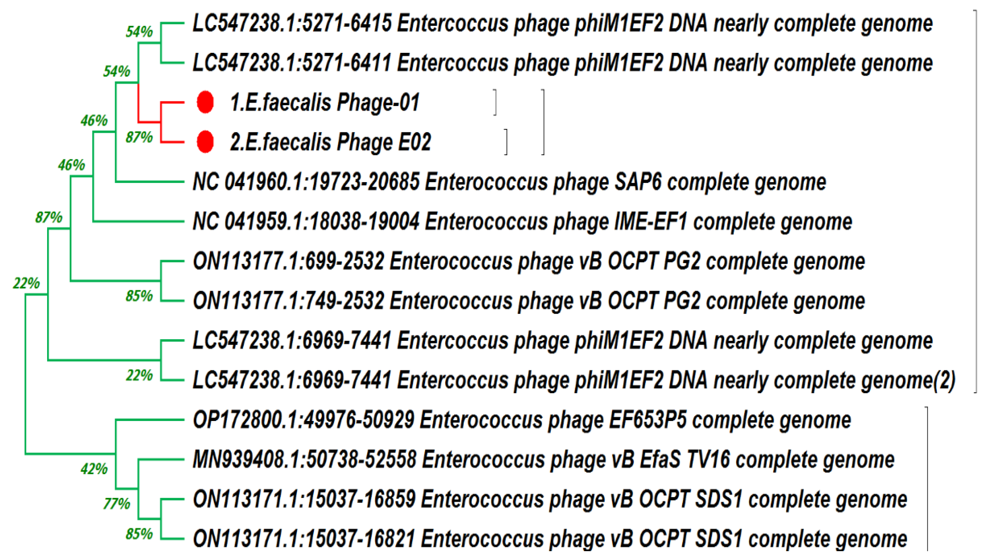 Medicina 60 00501 g007
