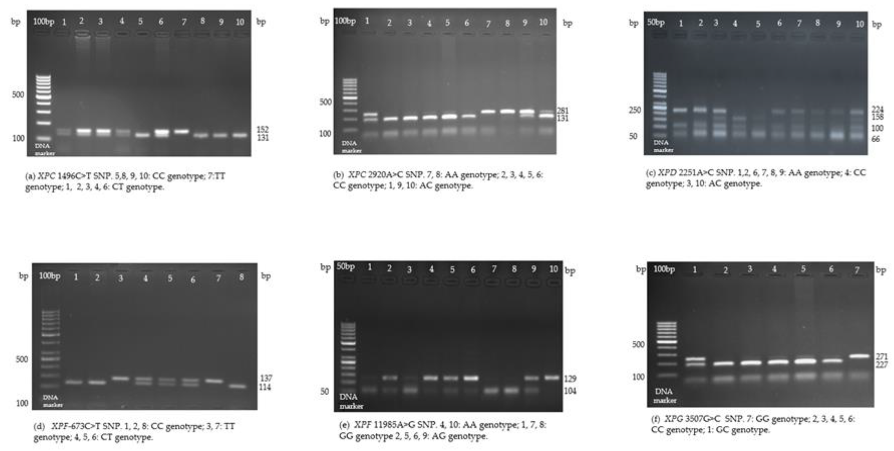 Medicina 60 00506 g001