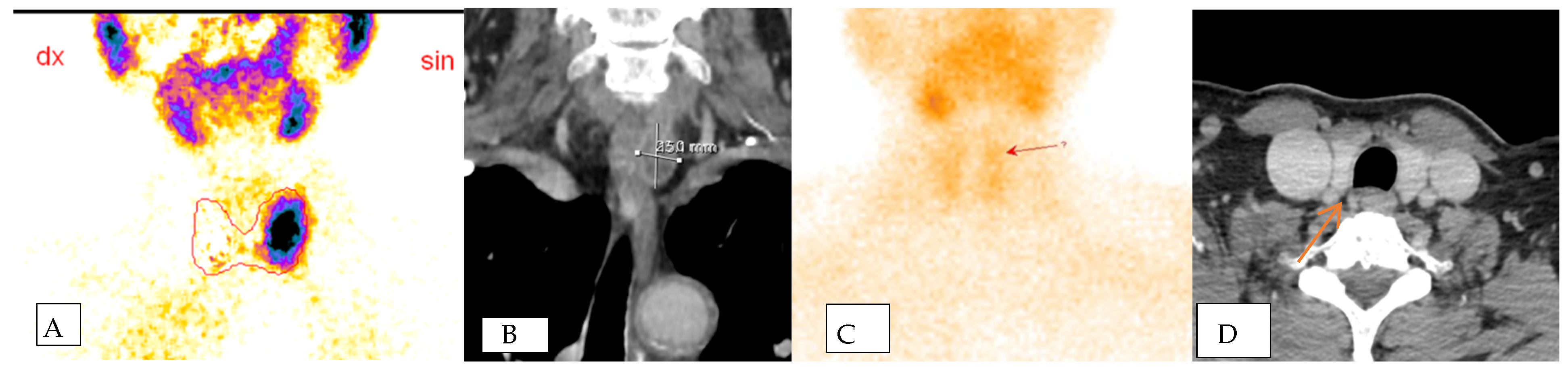 Medicina 60 00507 g002