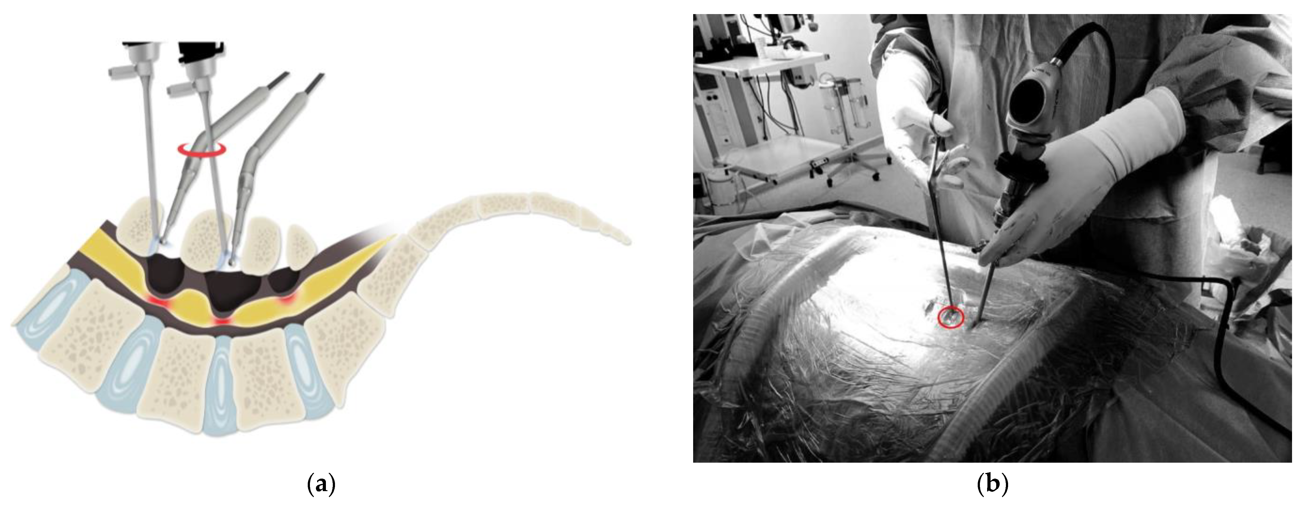 Medicina 60 00514 g001a