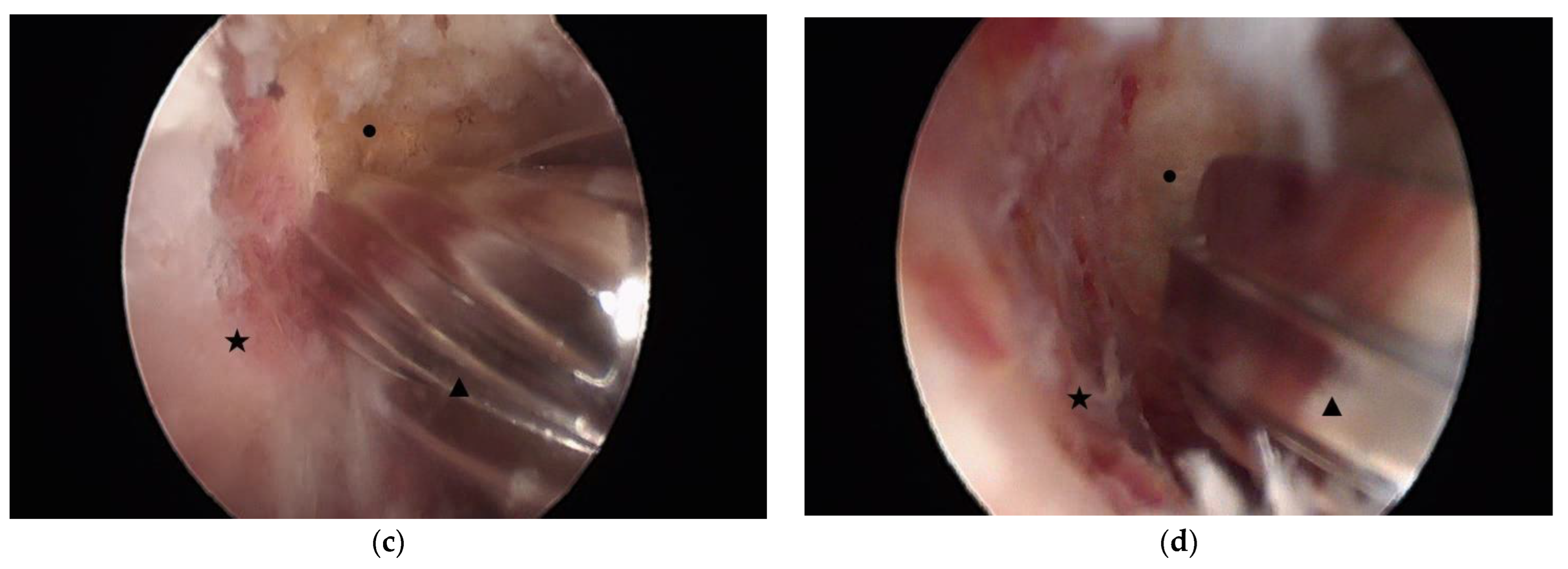 Medicina 60 00514 g001b