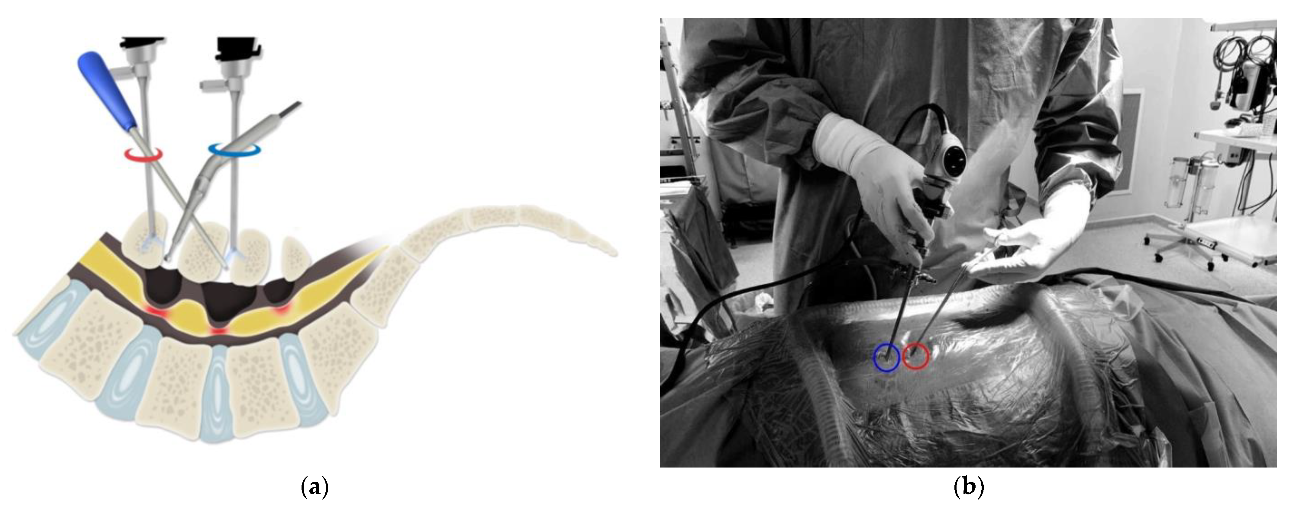 Medicina 60 00514 g002a