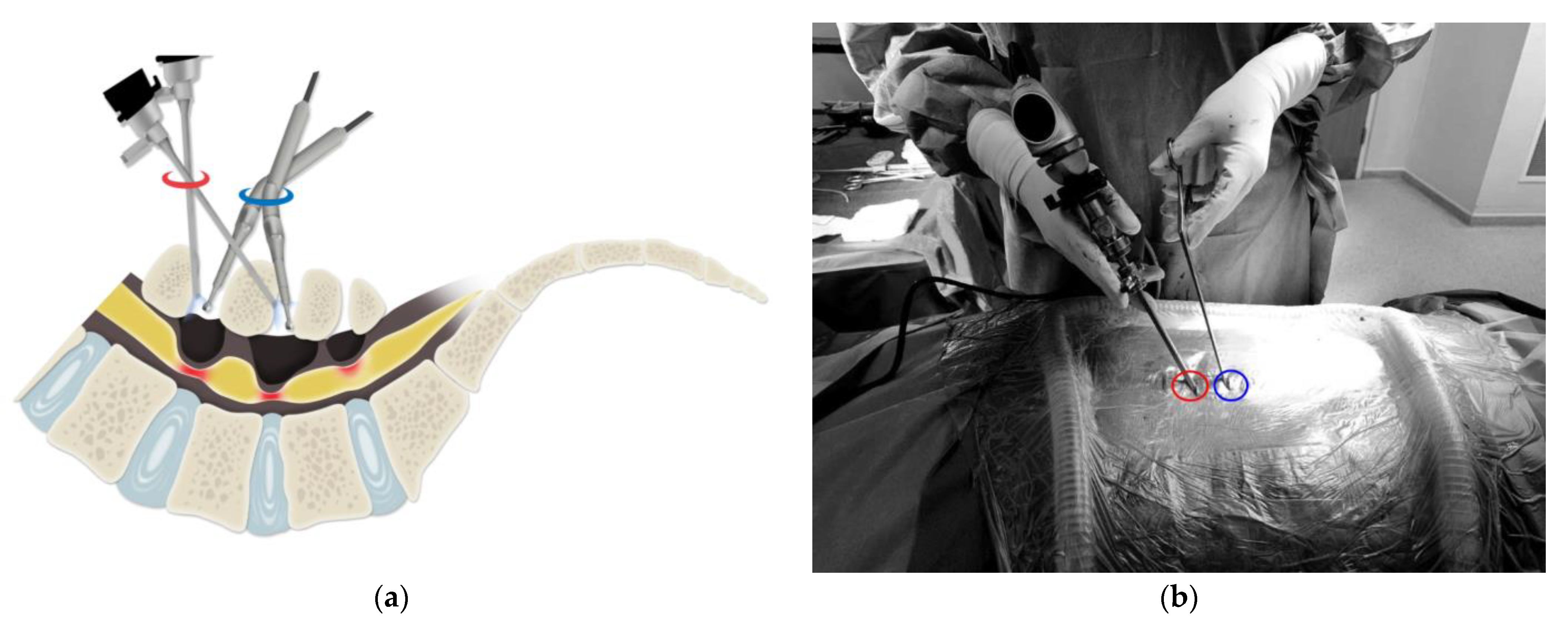 Medicina 60 00514 g003a