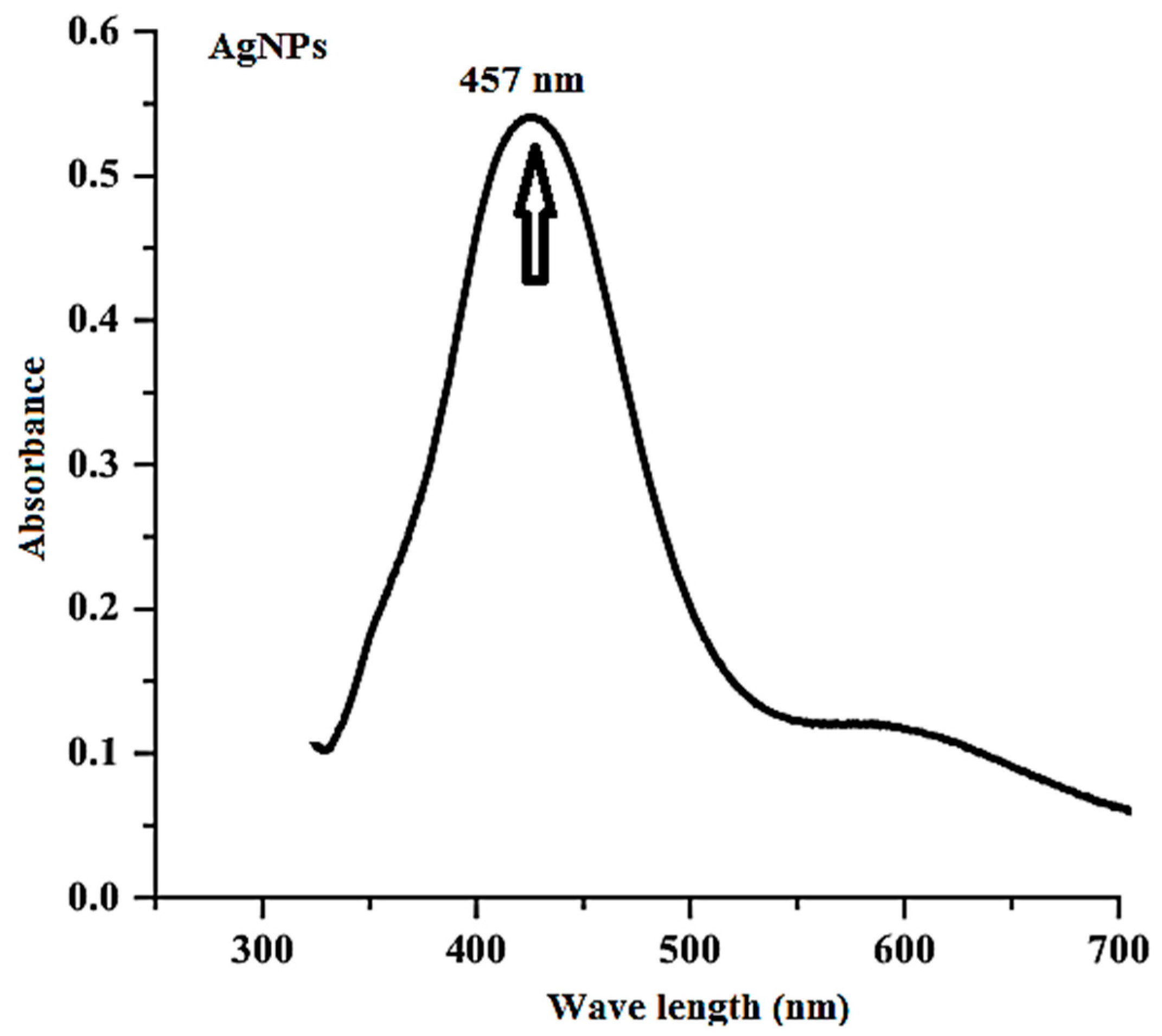 Medicina 60 00515 g002