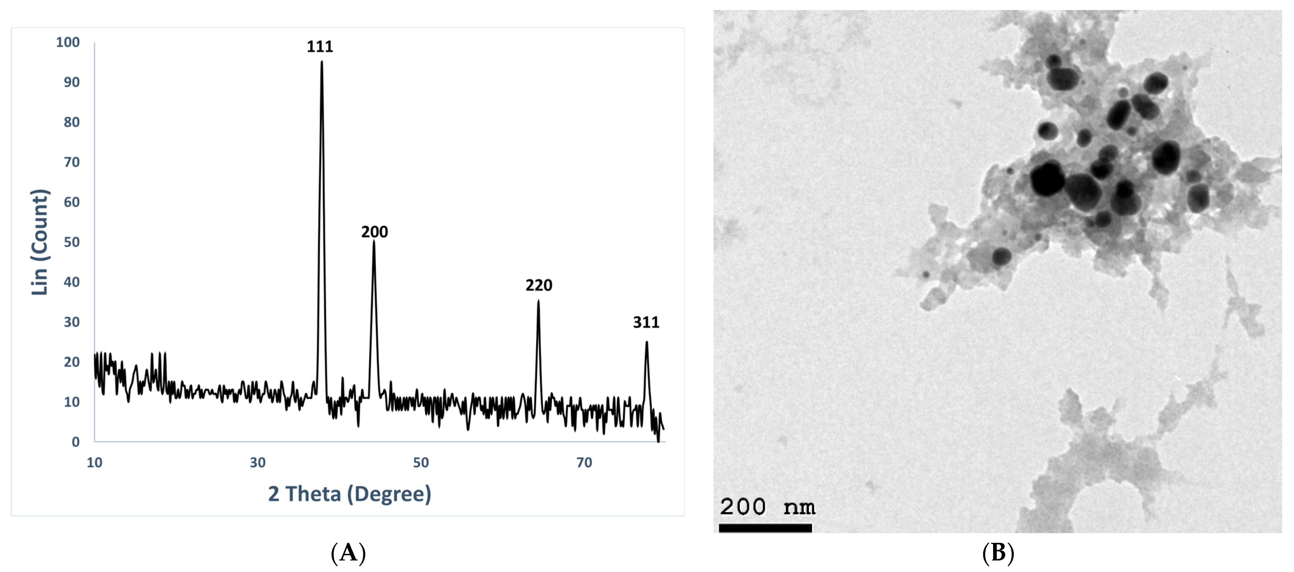 Medicina 60 00515 g003