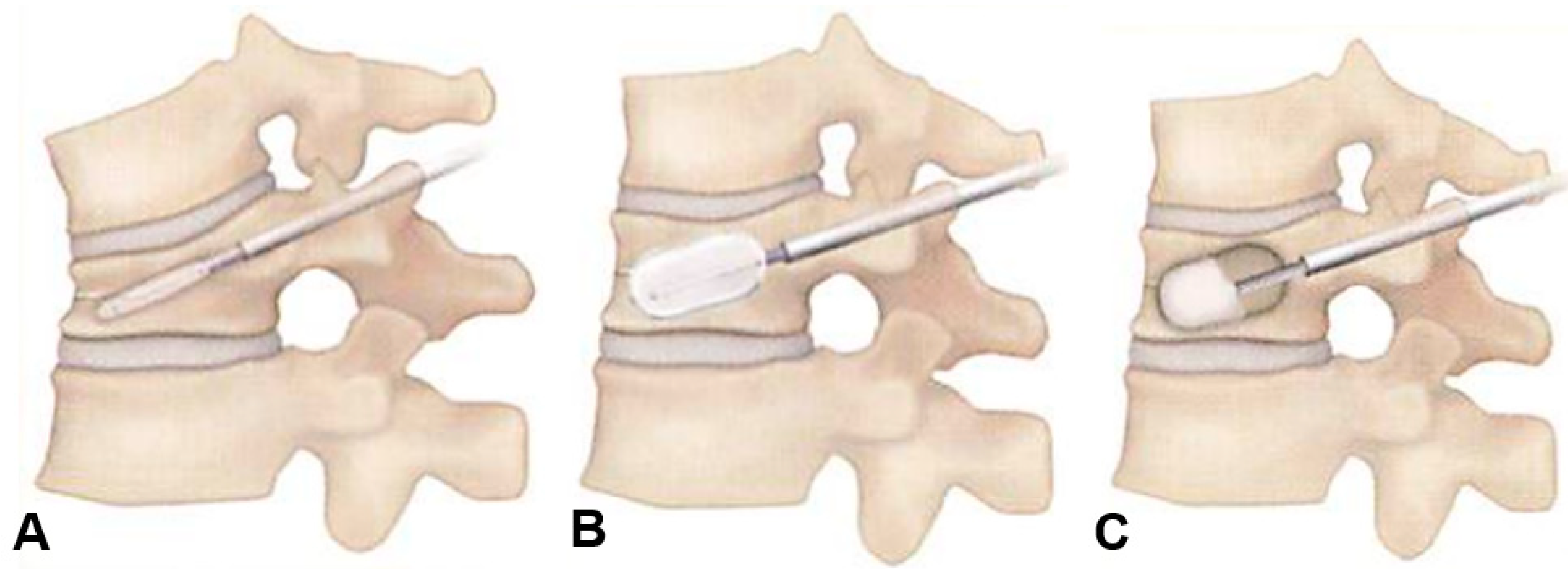 Medicina 60 00519 g003