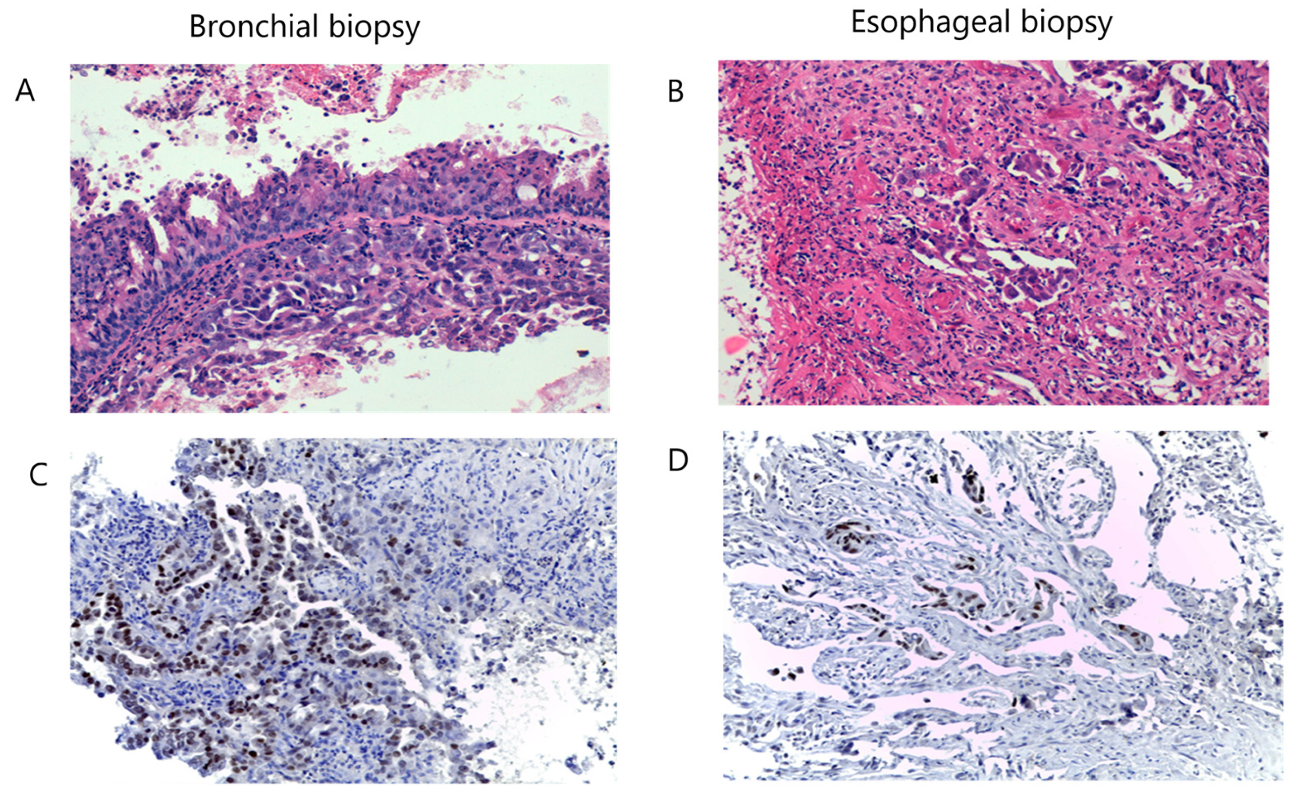 Medicina 60 00524 g004 Medicina 60 00524 g004