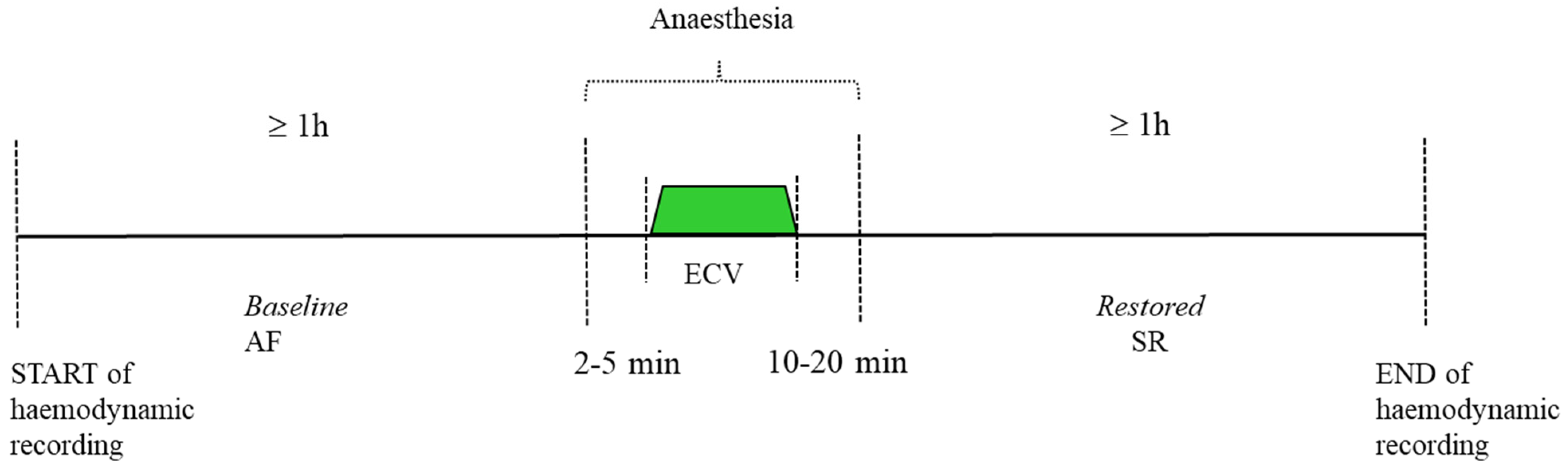 Medicina 60 00531 g001