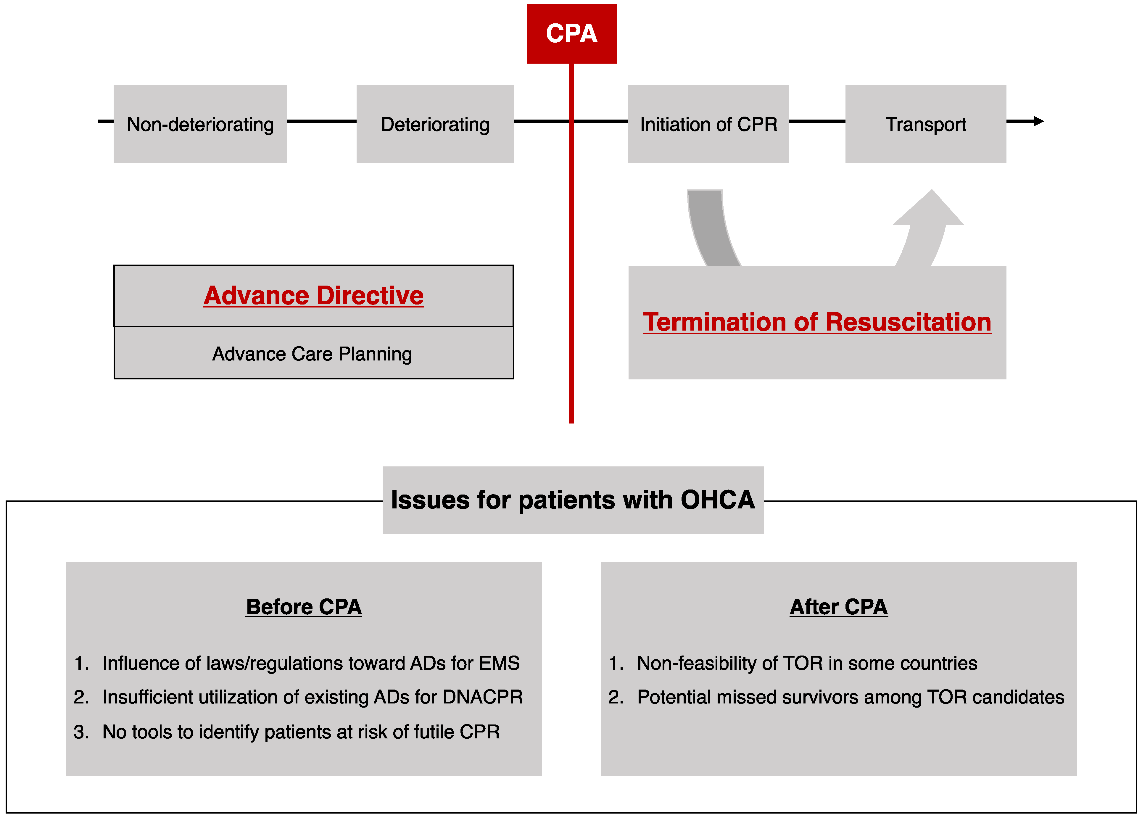 Medicina 60 00533 g001