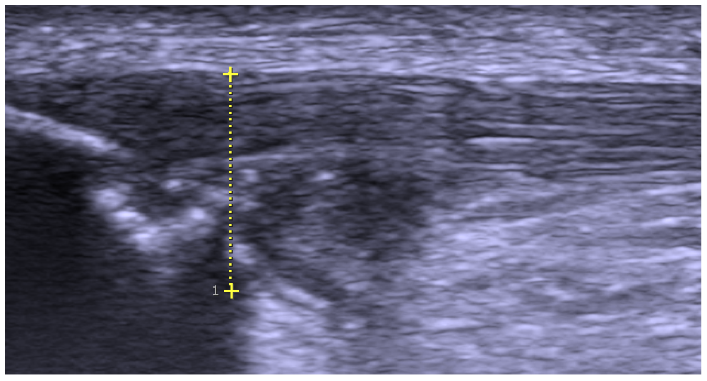 Medicina 60 00541 g001 Medicina 60 00541 g001