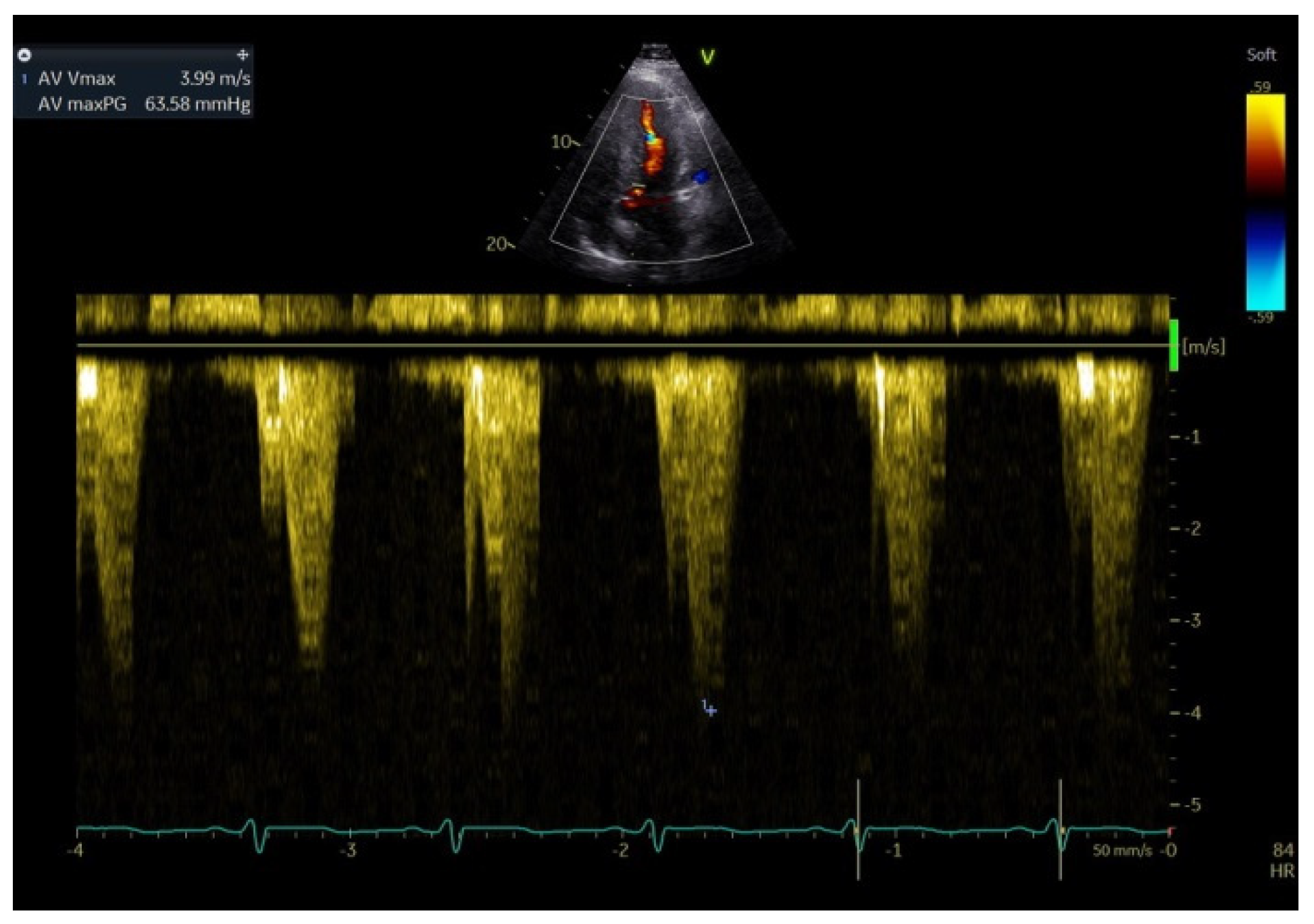 Medicina 60 00543 g002 Medicina 60 00543 g002