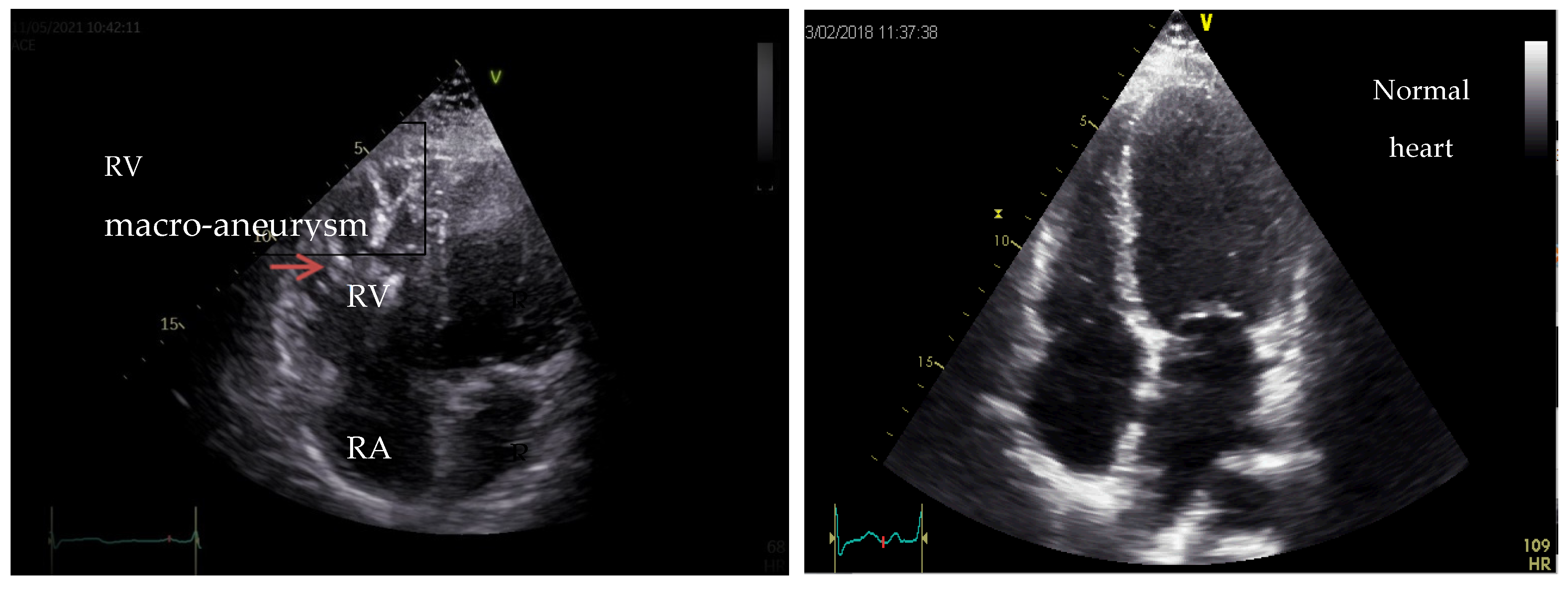Medicina 60 00543 g007 Medicina 60 00543 g007
