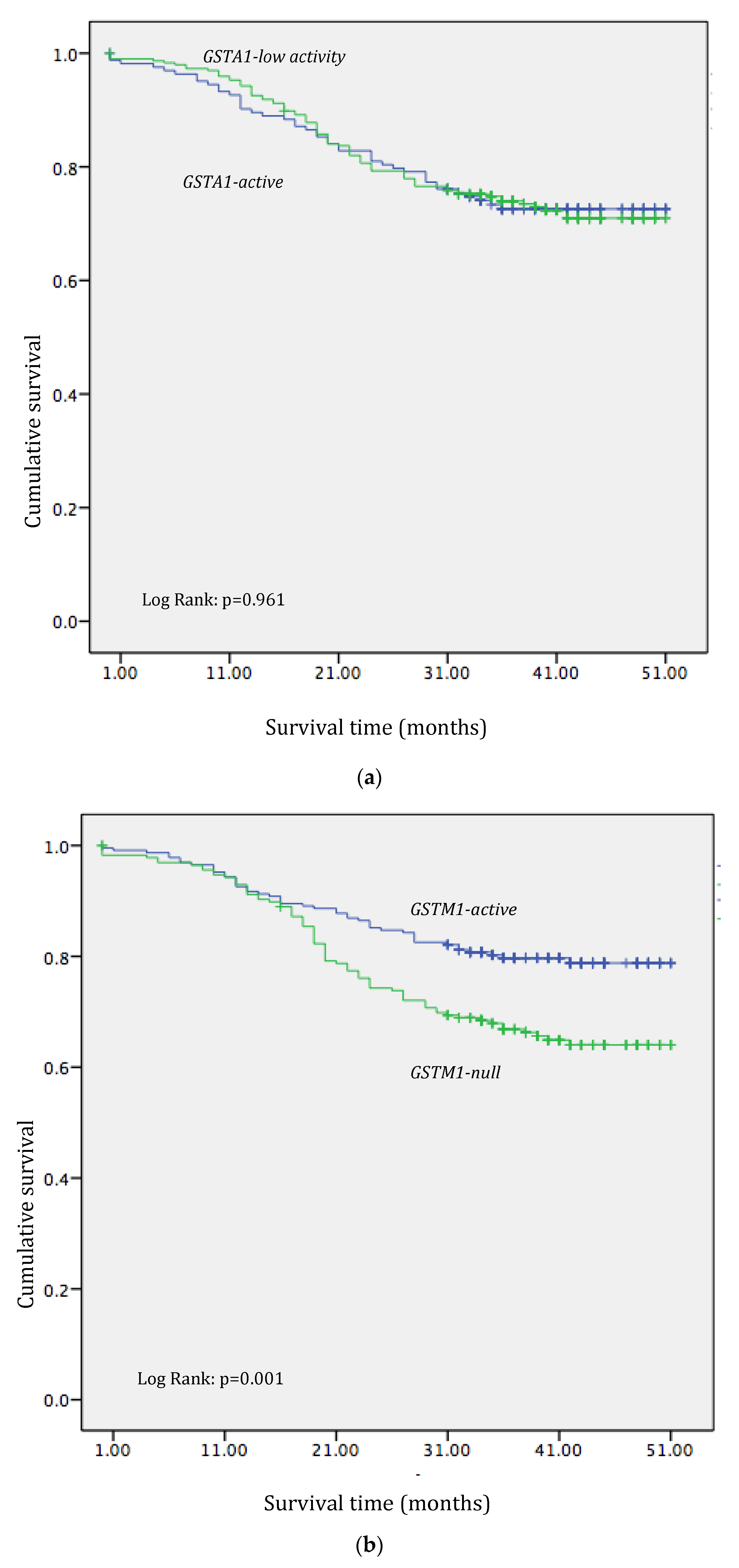 Medicina 60 00553 g001a