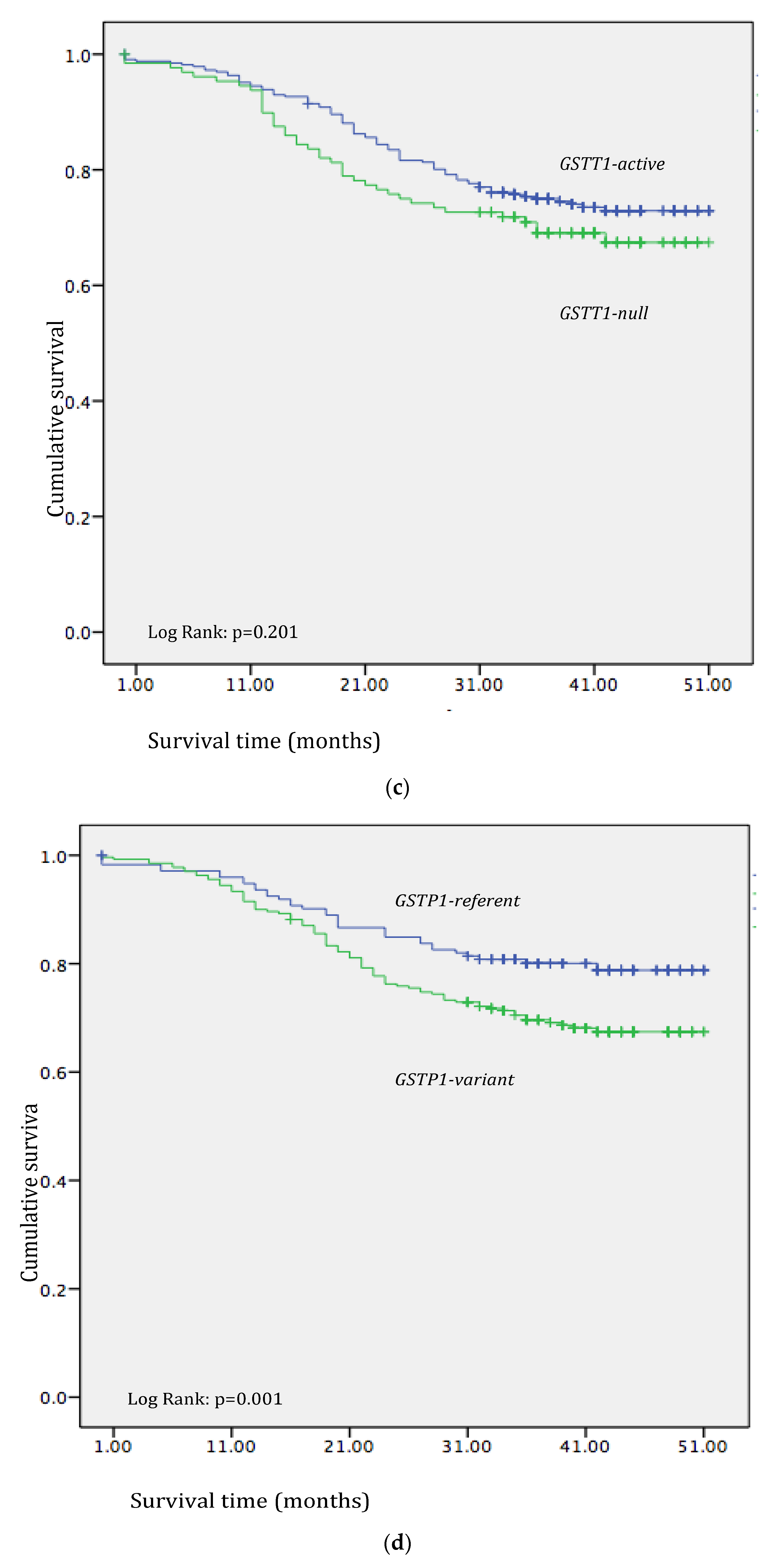 Medicina 60 00553 g001b