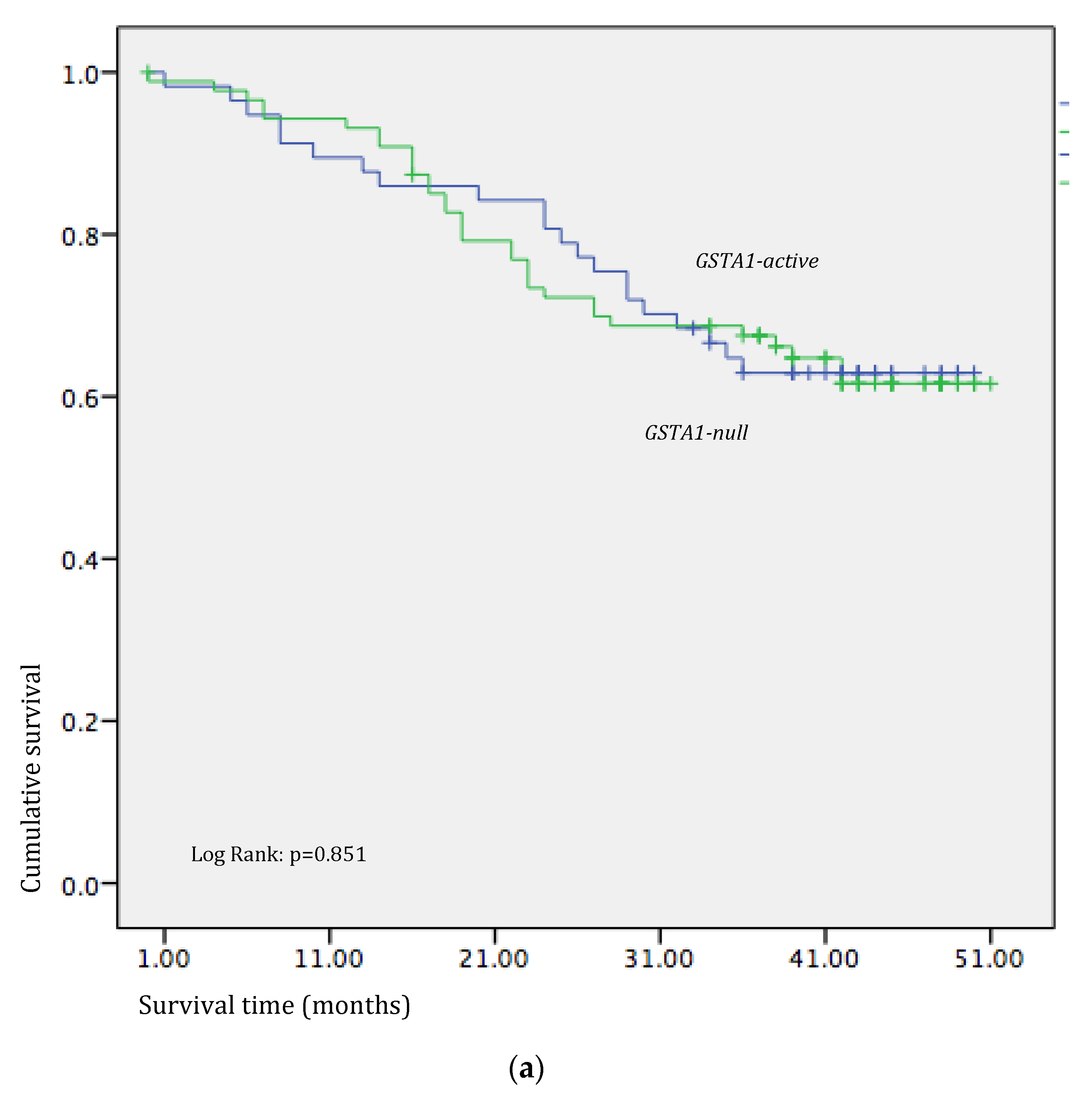Medicina 60 00553 g002a