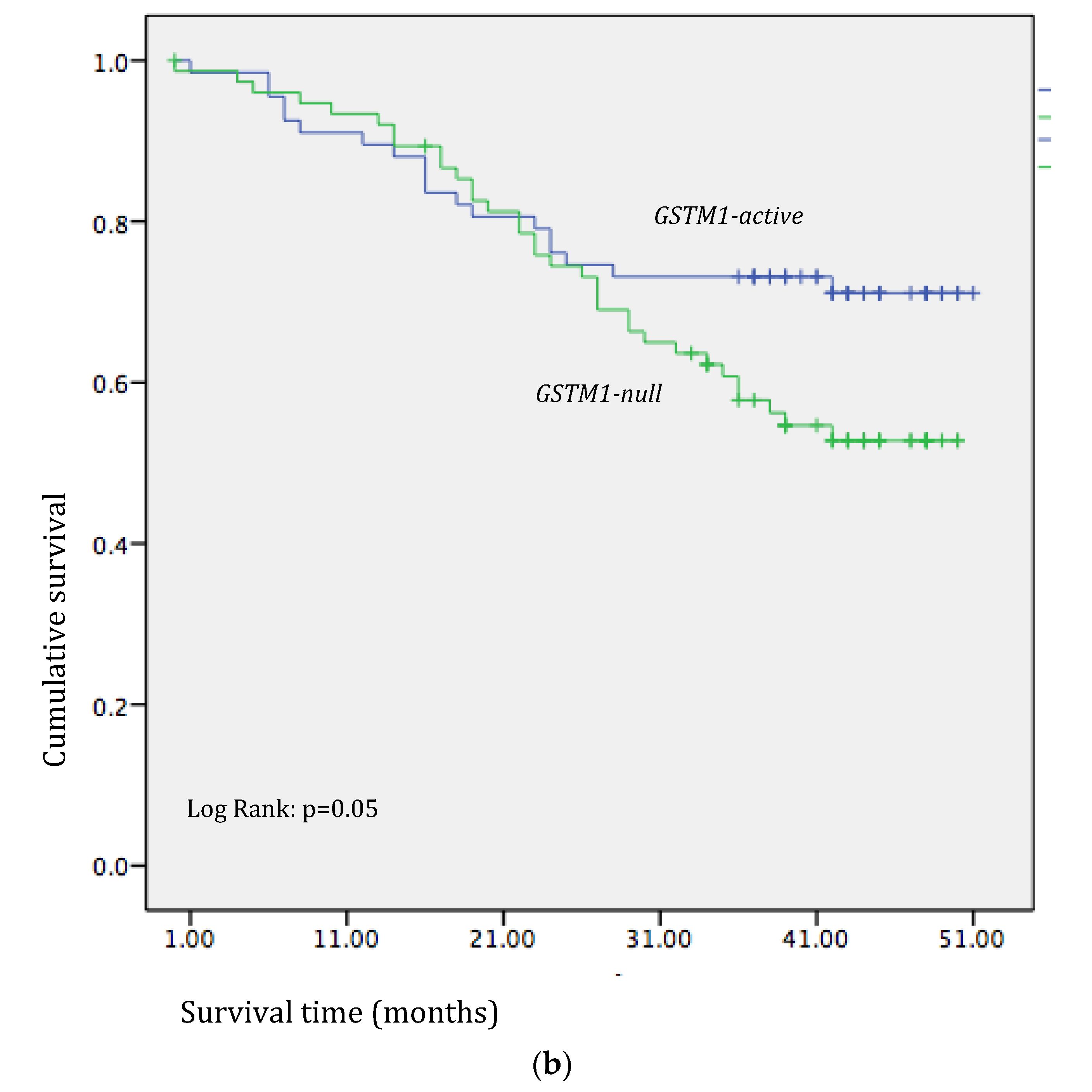 Medicina 60 00553 g002b