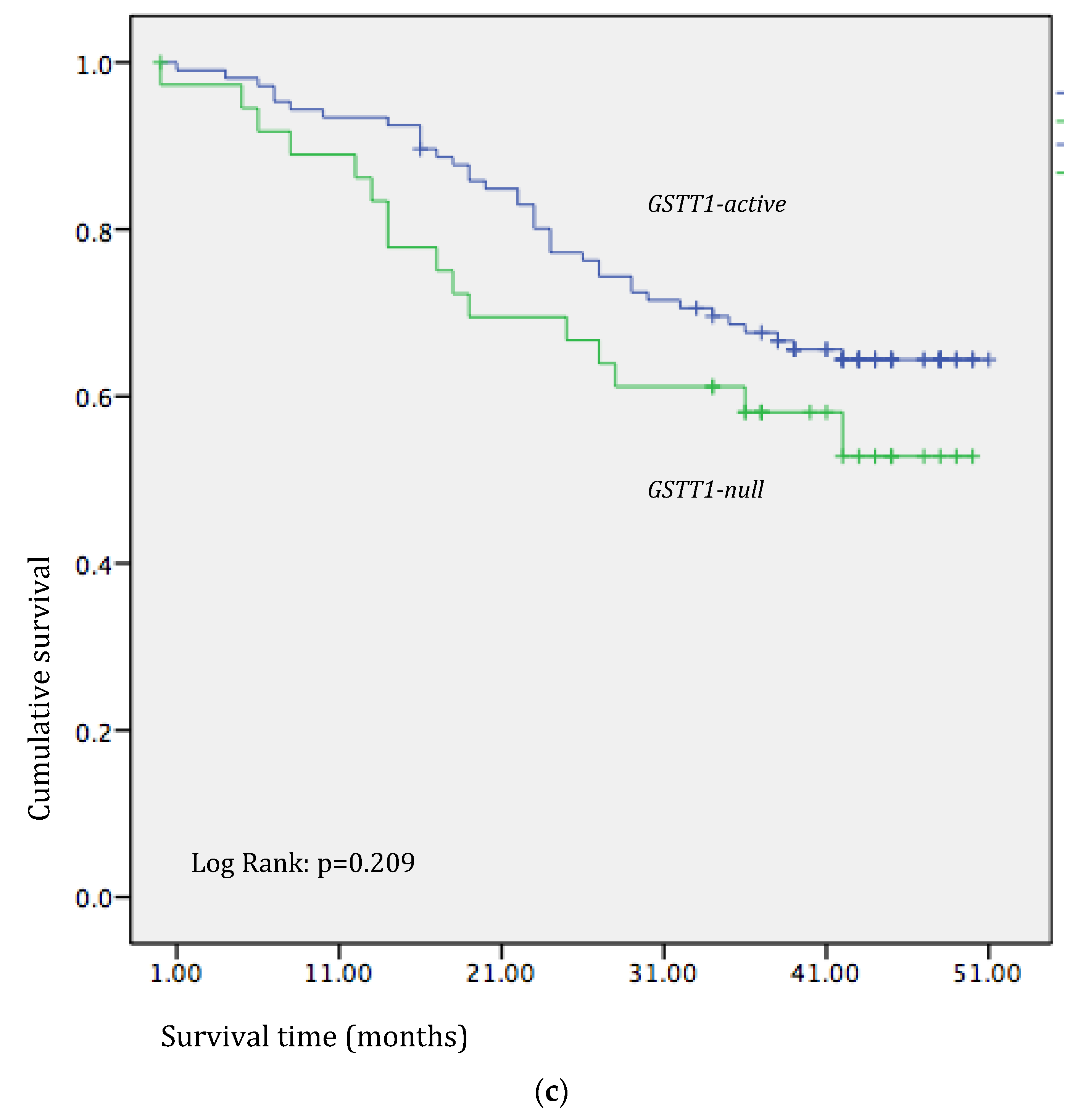 Medicina 60 00553 g002c