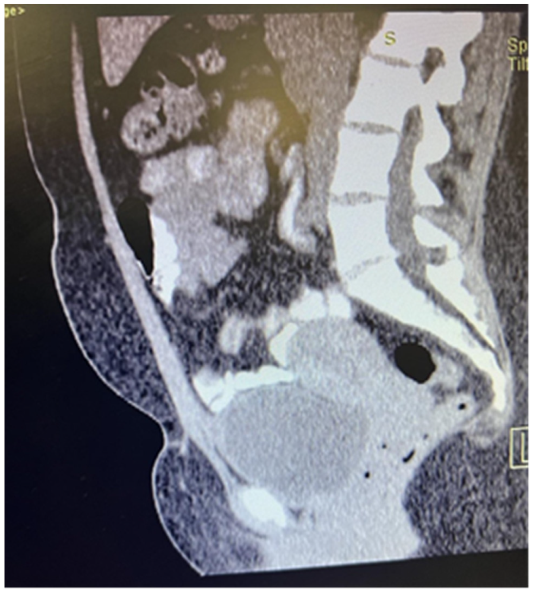 Medicina 60 00576 g001 Medicina 60 00576 g001