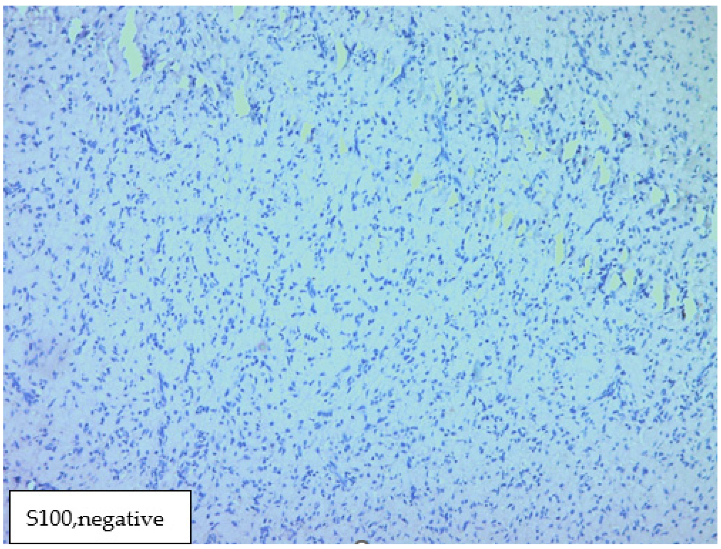 Medicina 60 00576 g005 Medicina 60 00576 g005