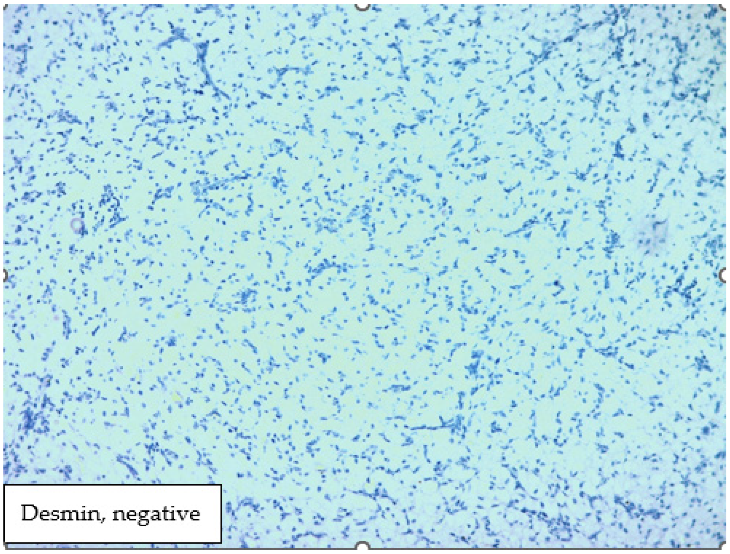 Medicina 60 00576 g006 Medicina 60 00576 g006