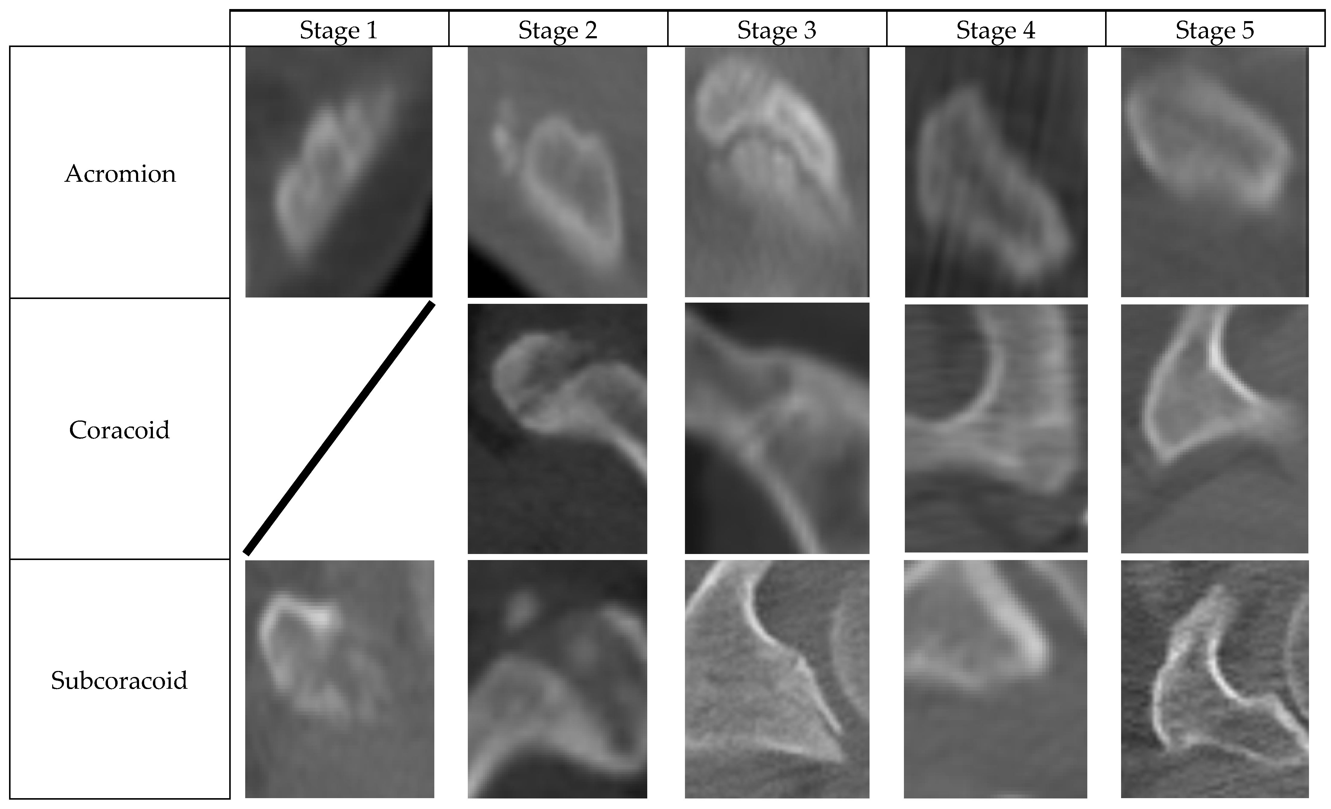 Medicina 60 00581 g001a