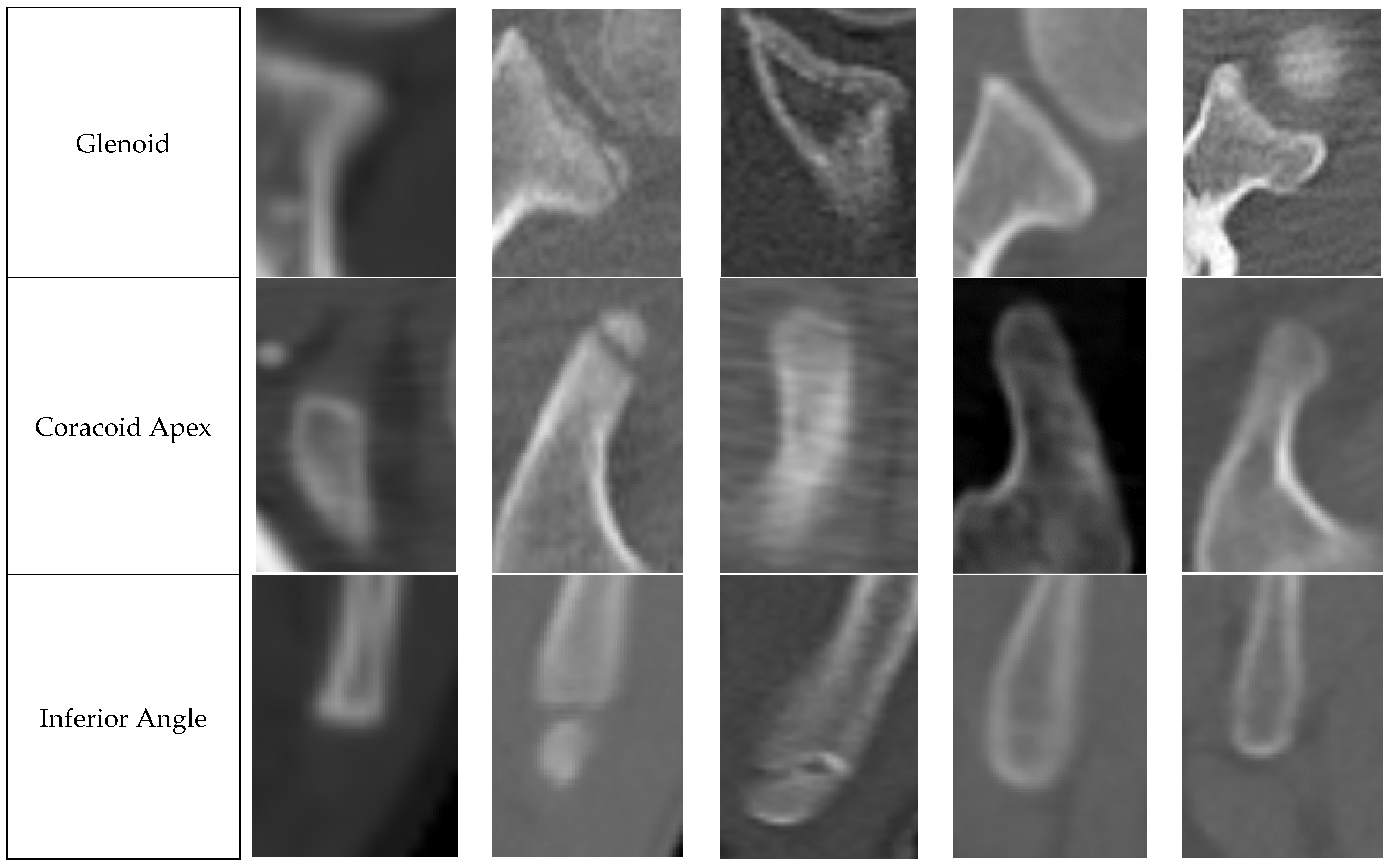 Medicina 60 00581 g001b