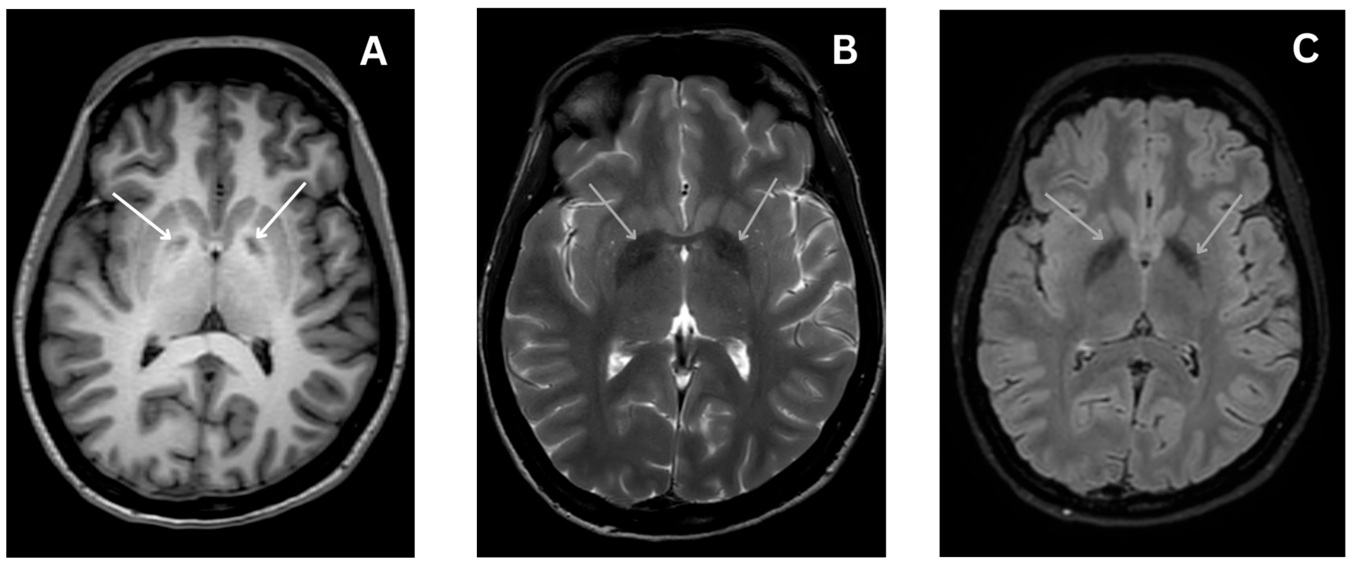 Medicina 60 00589 g001