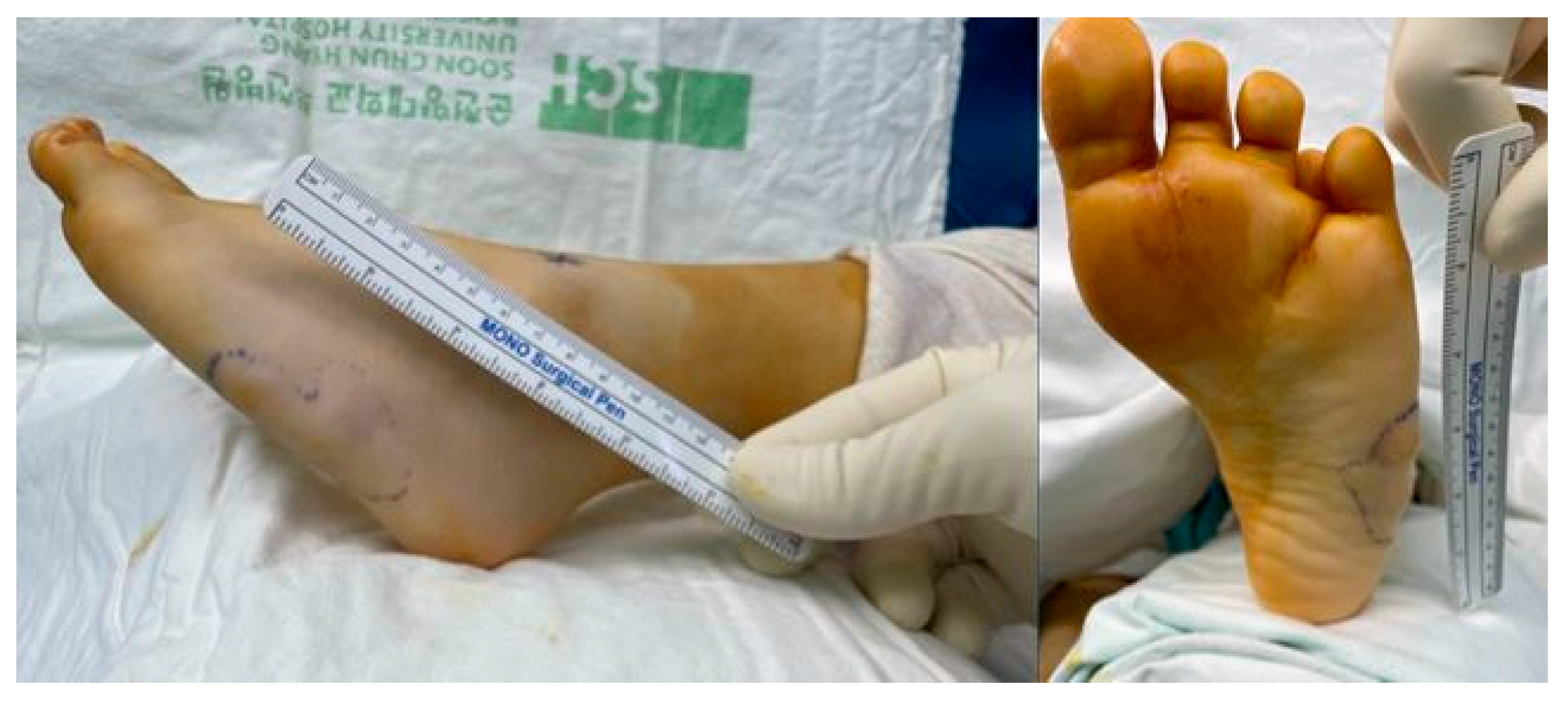 Medicina 60 00595 g001