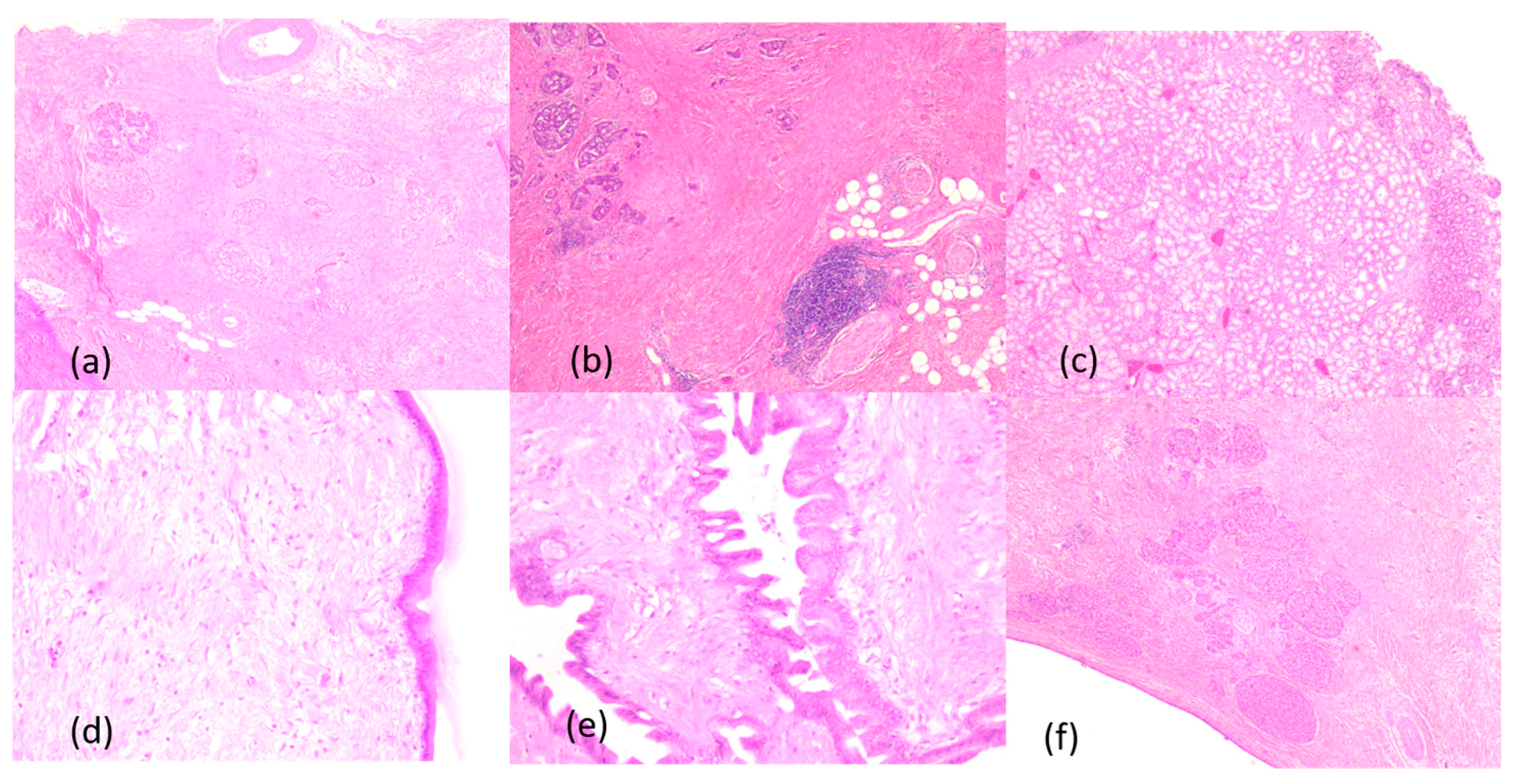 Medicina 60 00626 g007