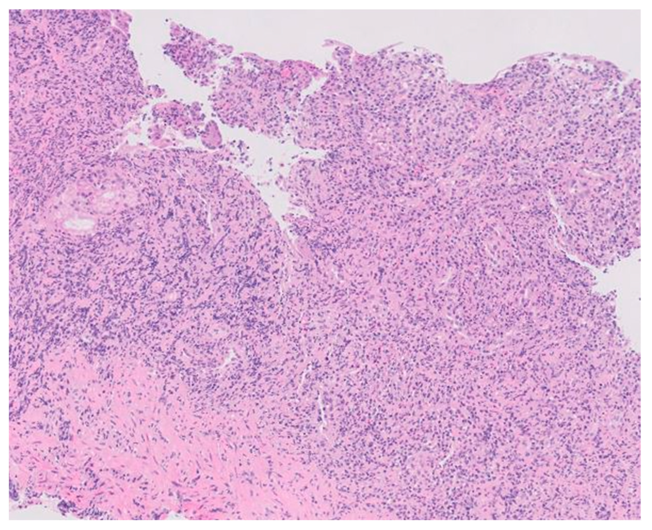 Medicina 60 00629 g003