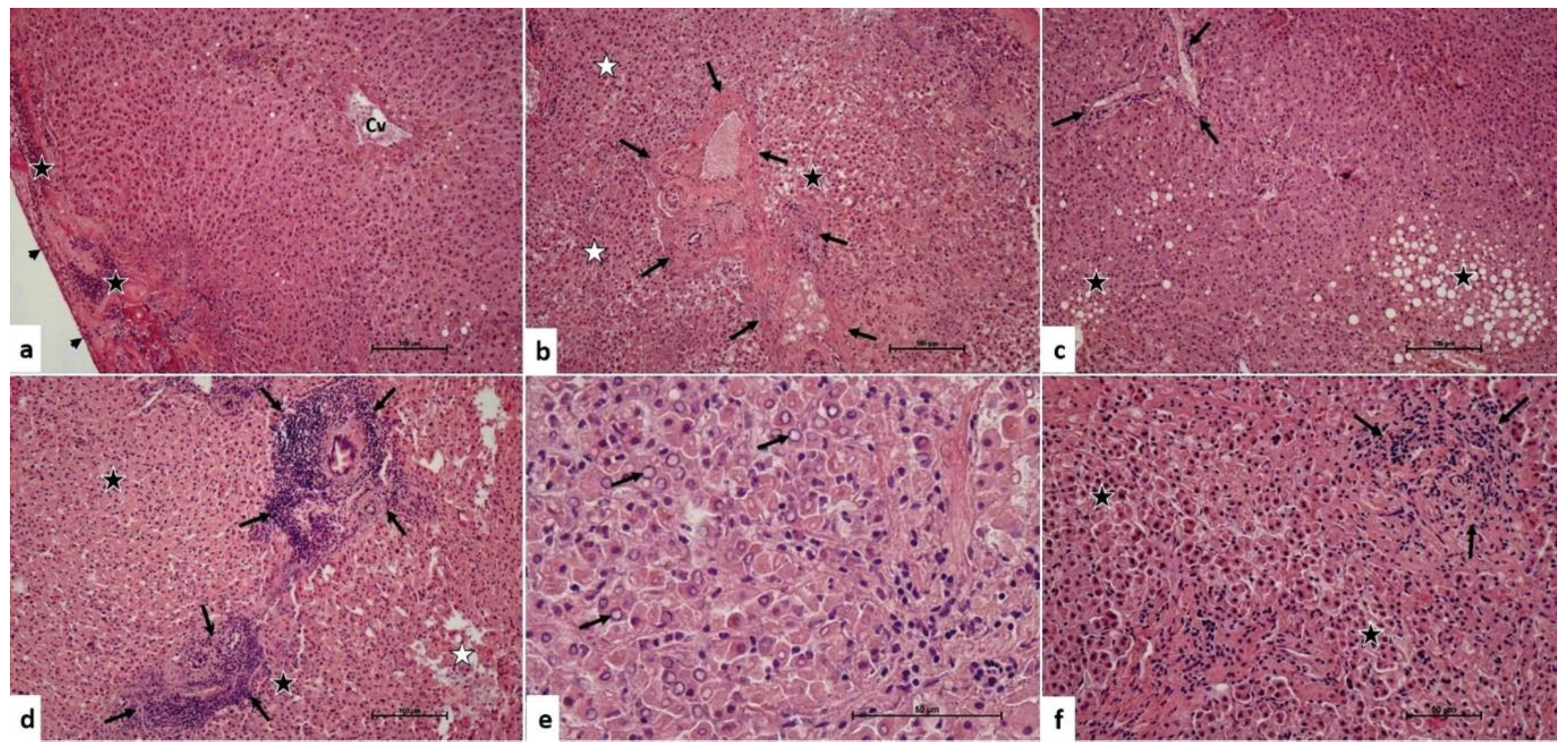 Medicina 60 00649 g001