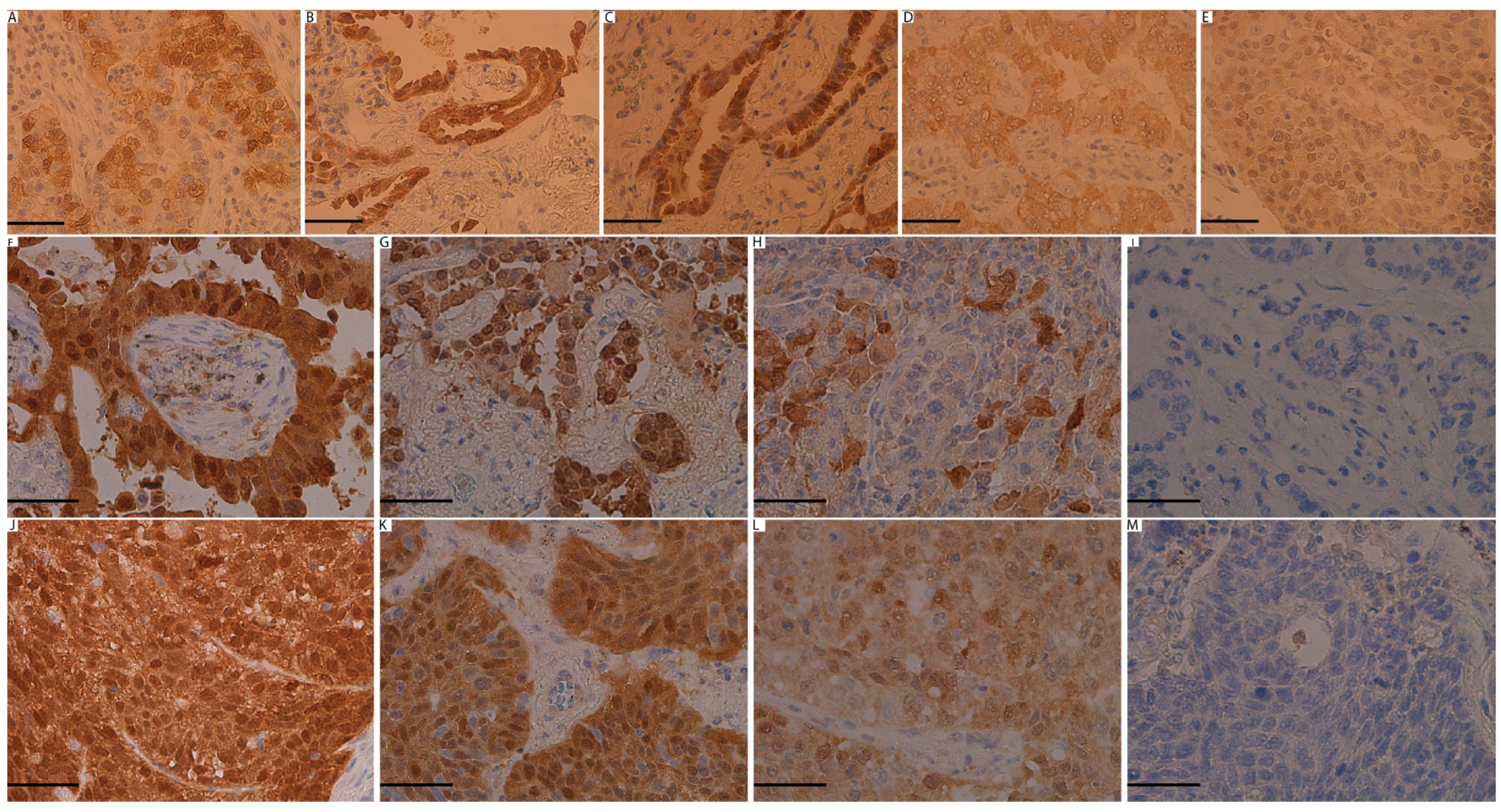 Medicina 60 00660 g001