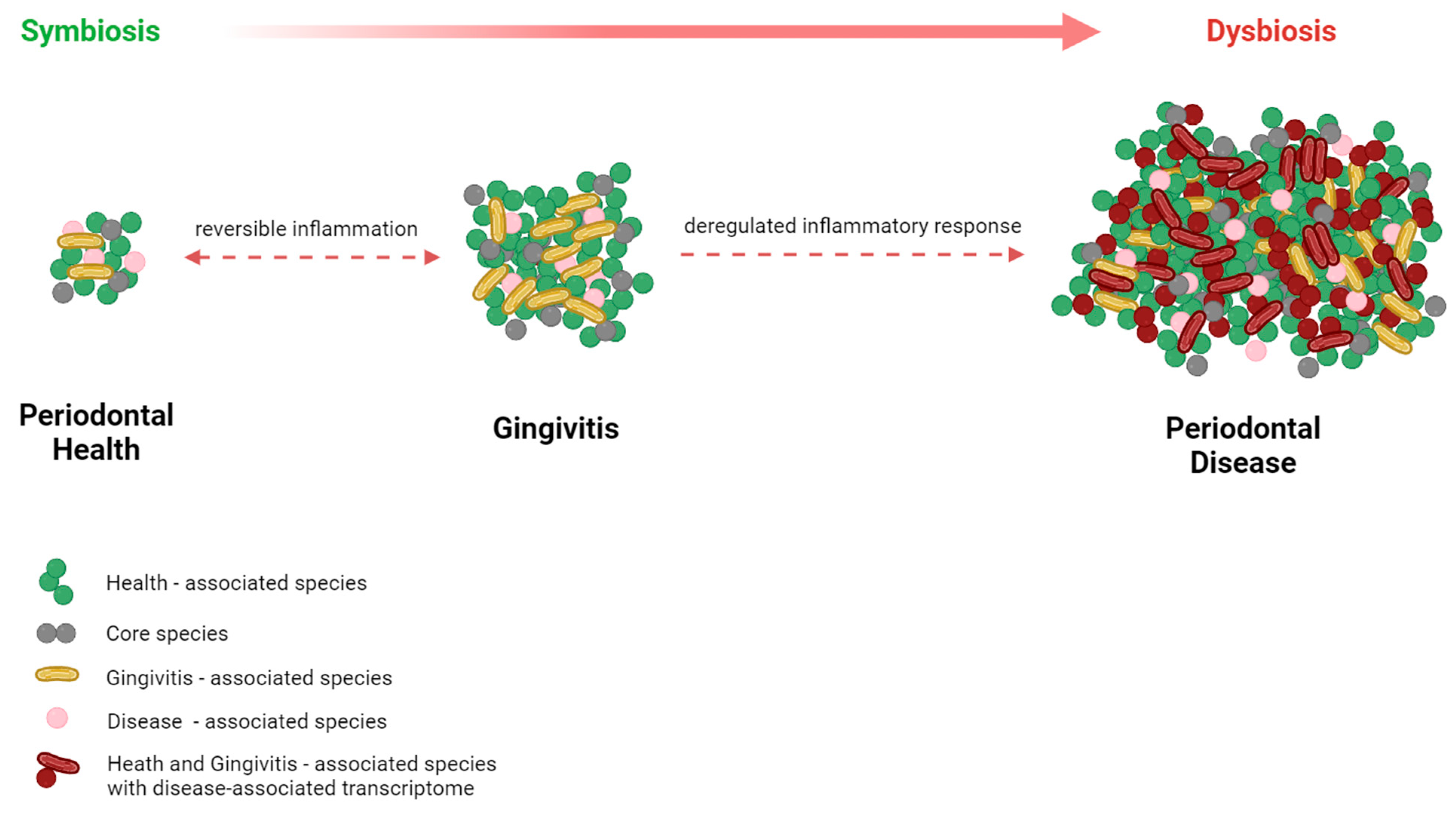 Medicina 60 00672 g003