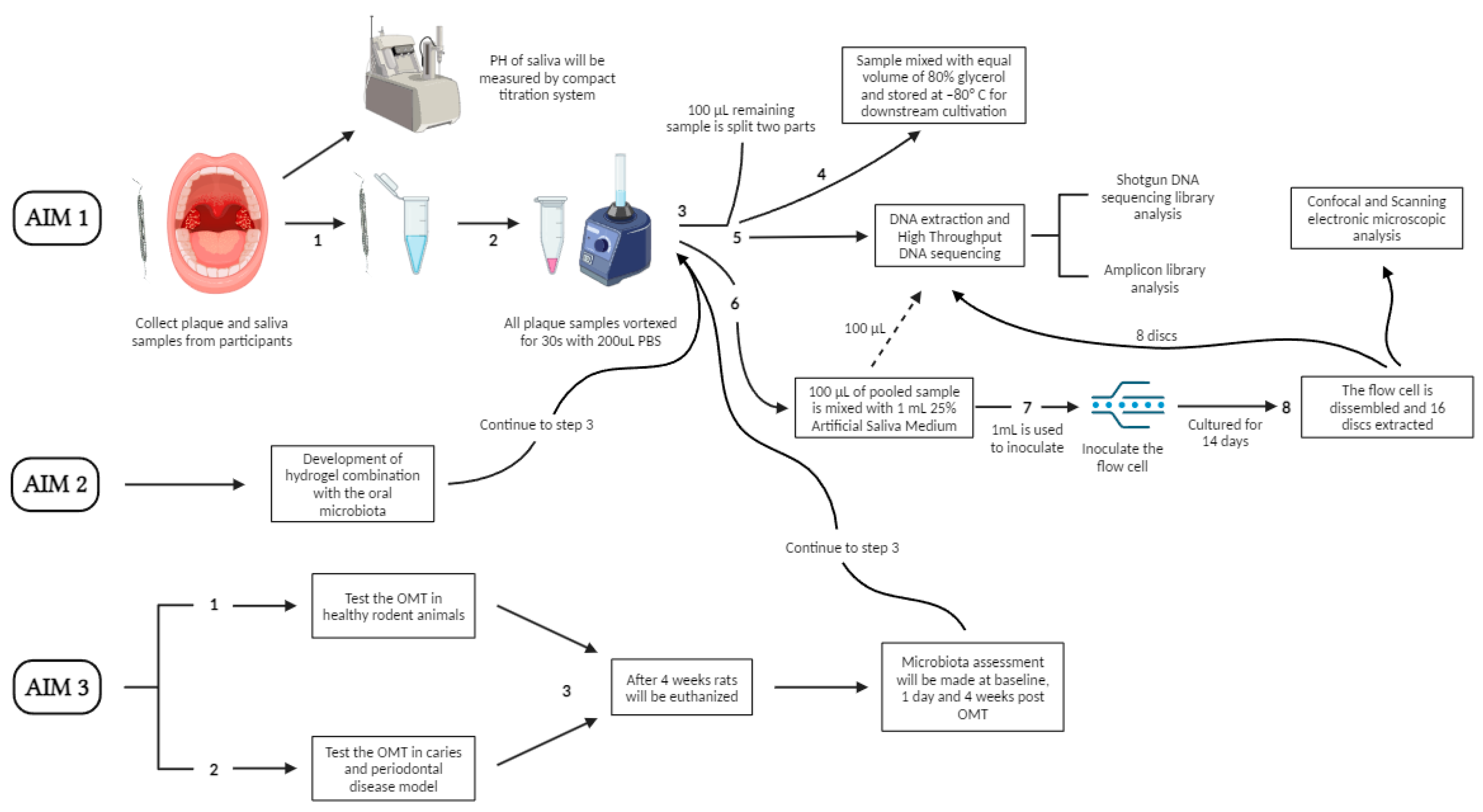 Medicina 60 00672 g004